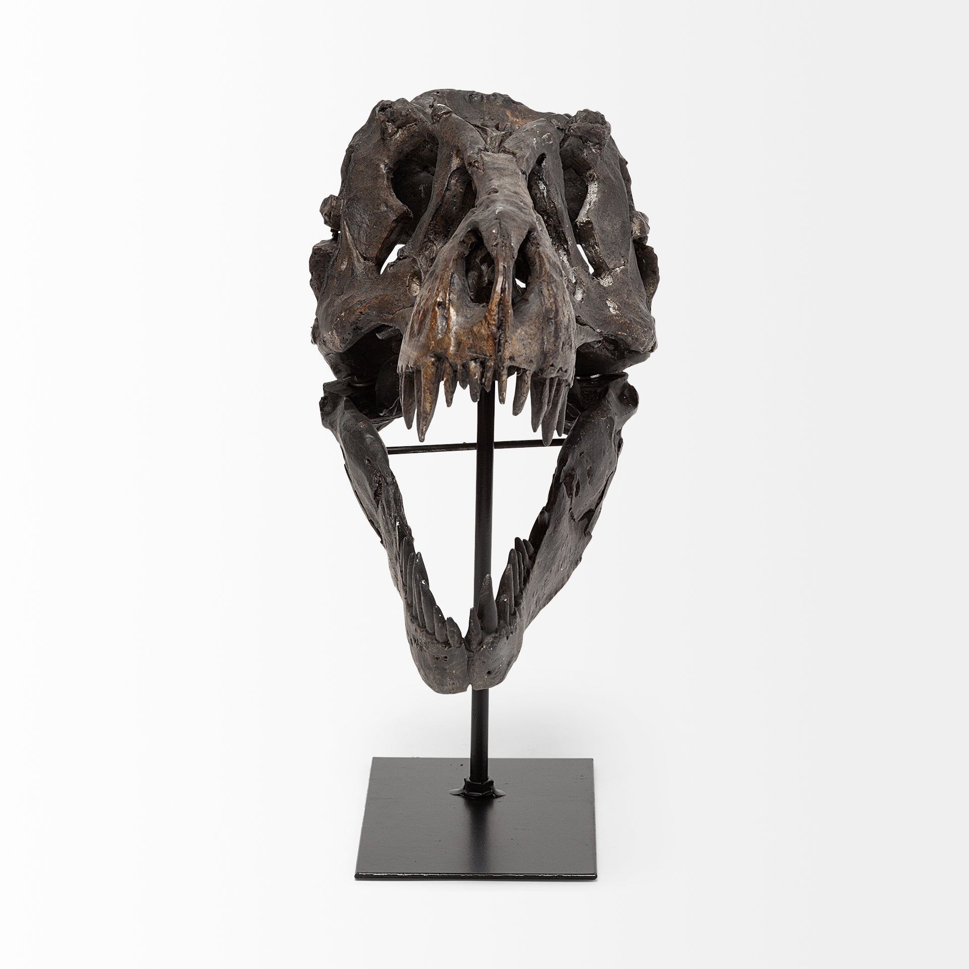 Jurassic T-Rex Object