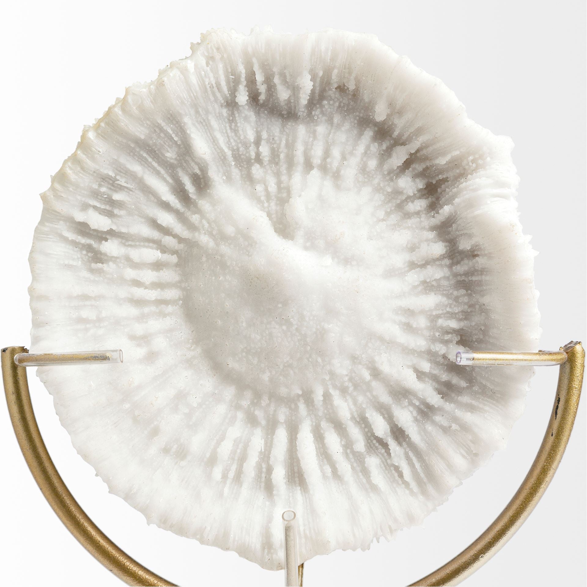 Sandy Object
