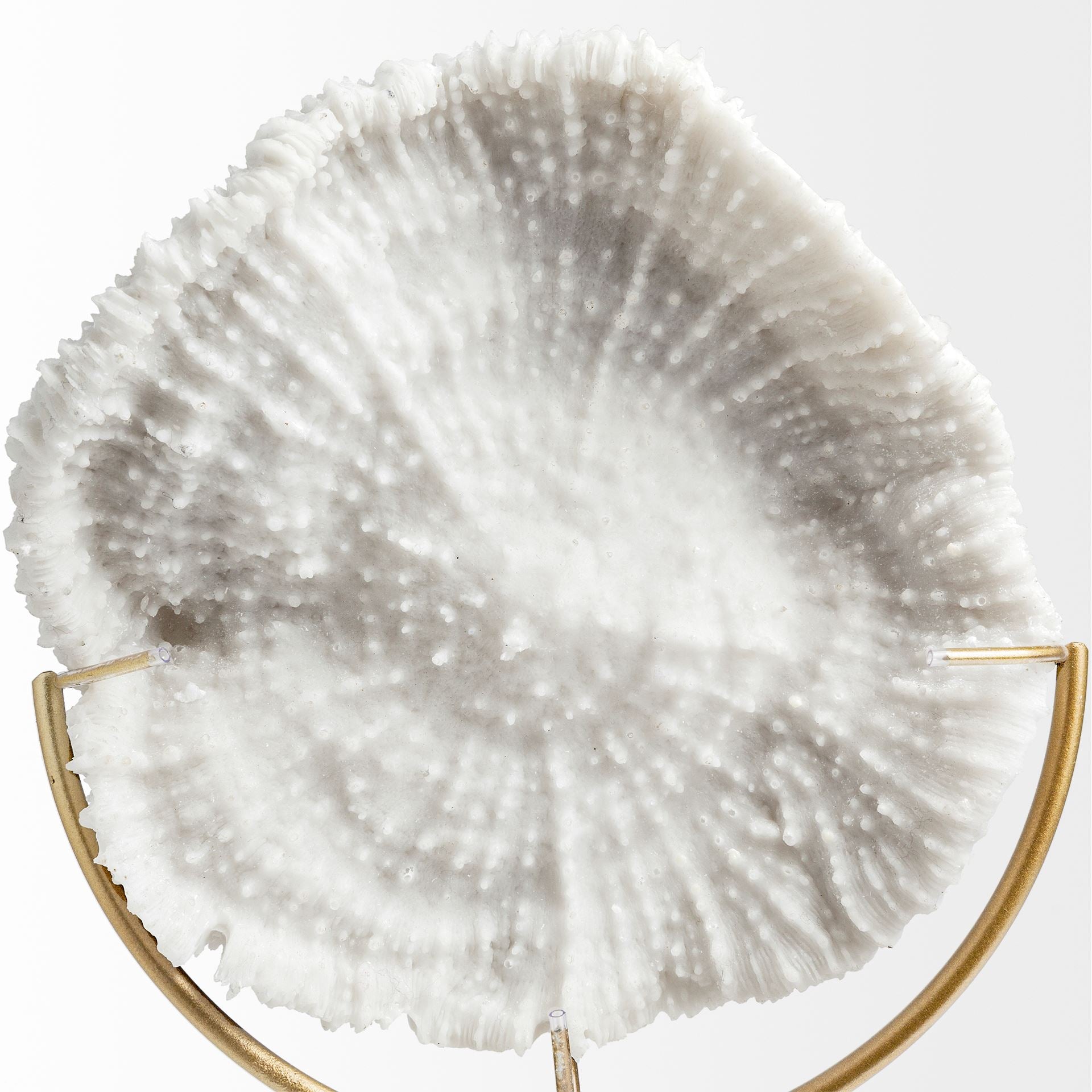Sandy Object