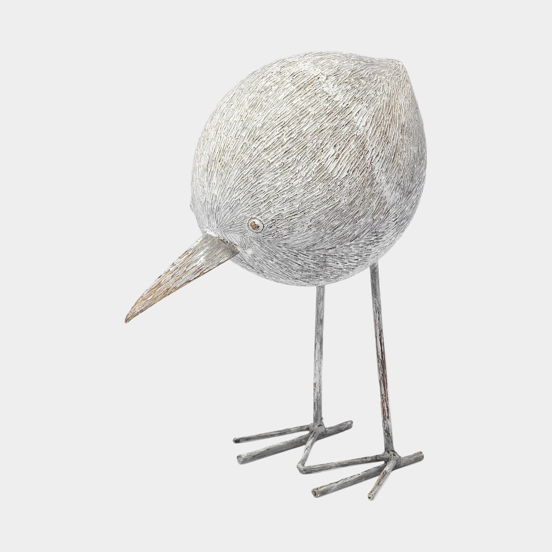 Snipe Sandpiper Bird Object