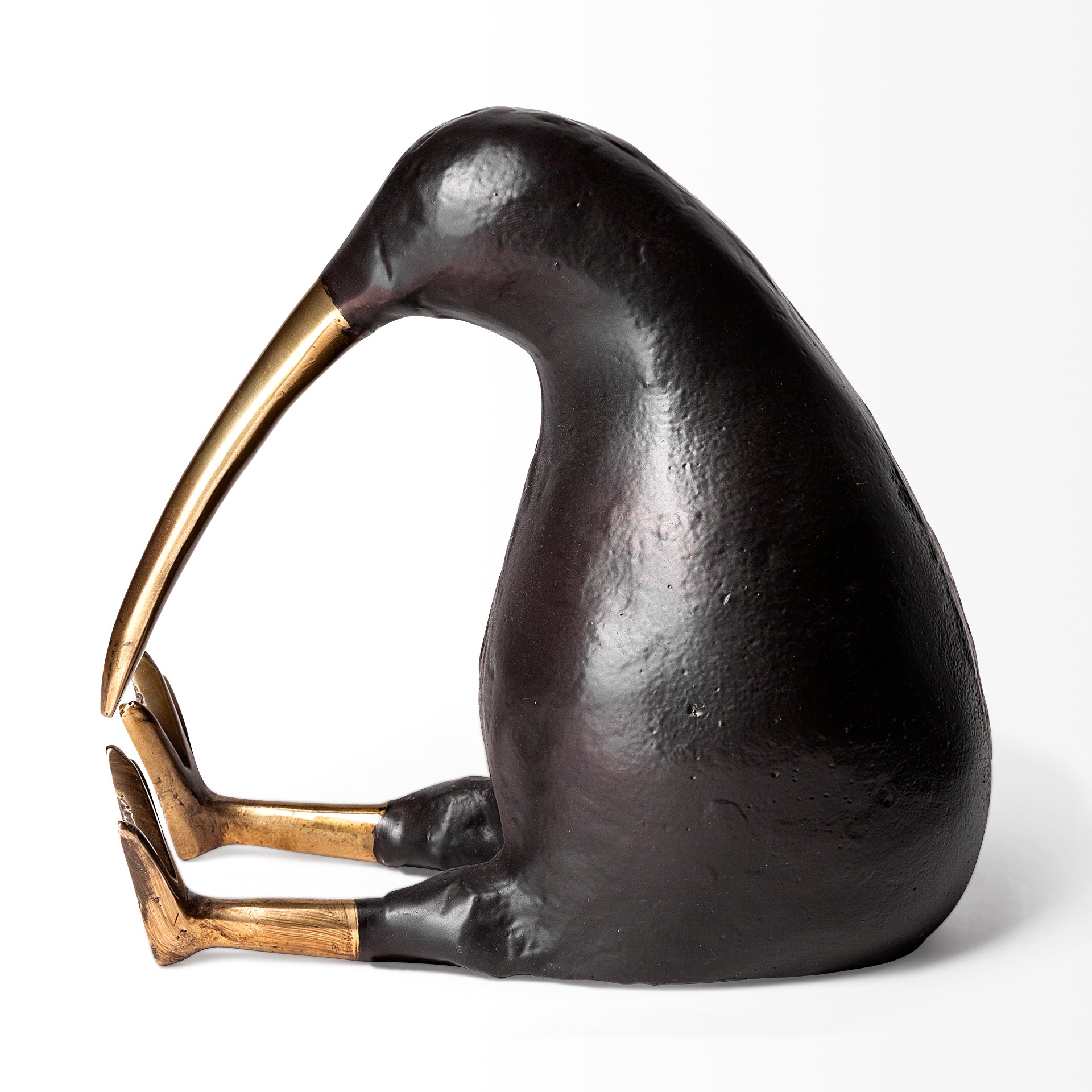 Dodo Kiwi Bird Object