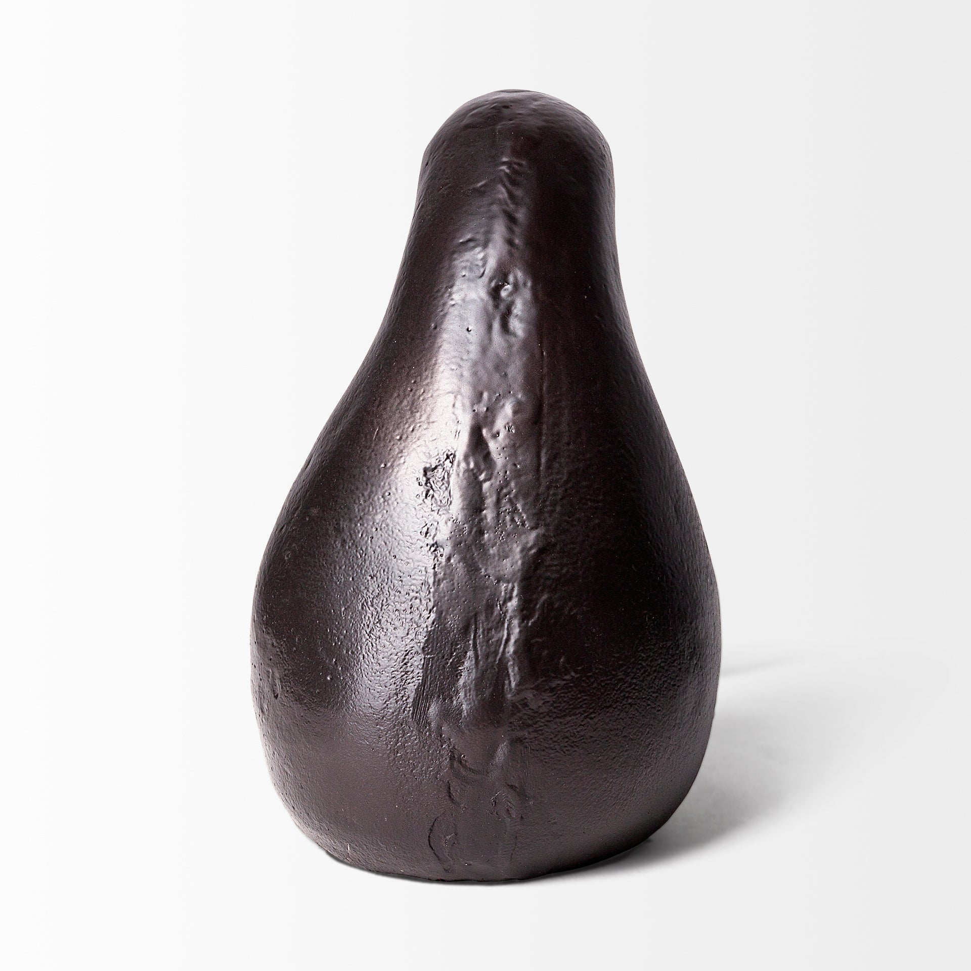 Dodo Kiwi Bird Object
