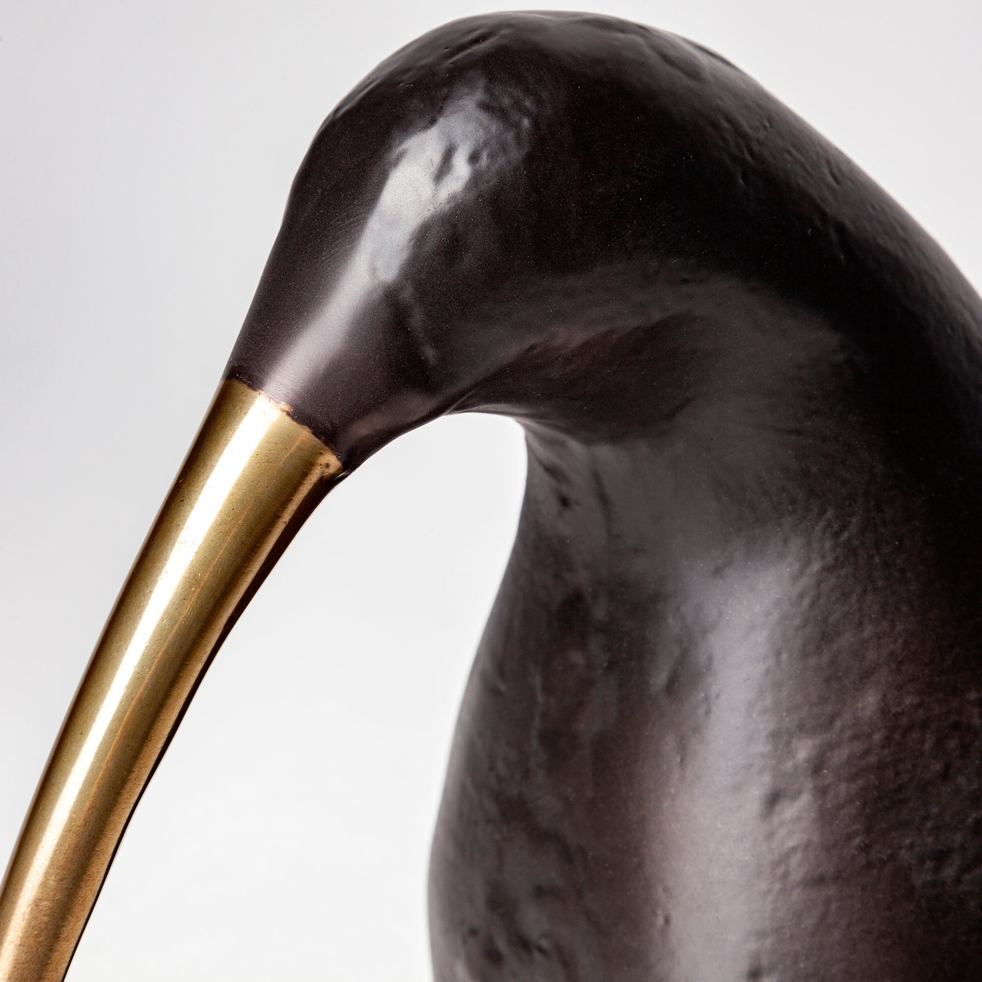 Dodo Kiwi Bird Object