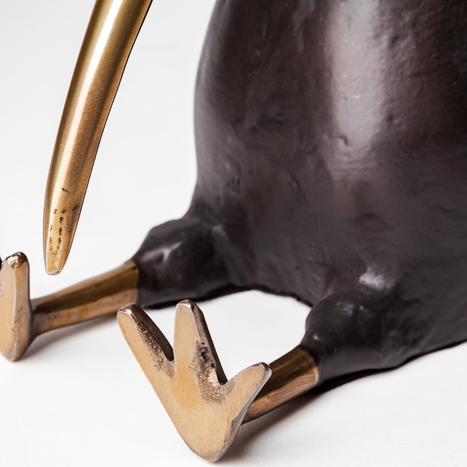 Dodo Kiwi Bird Object