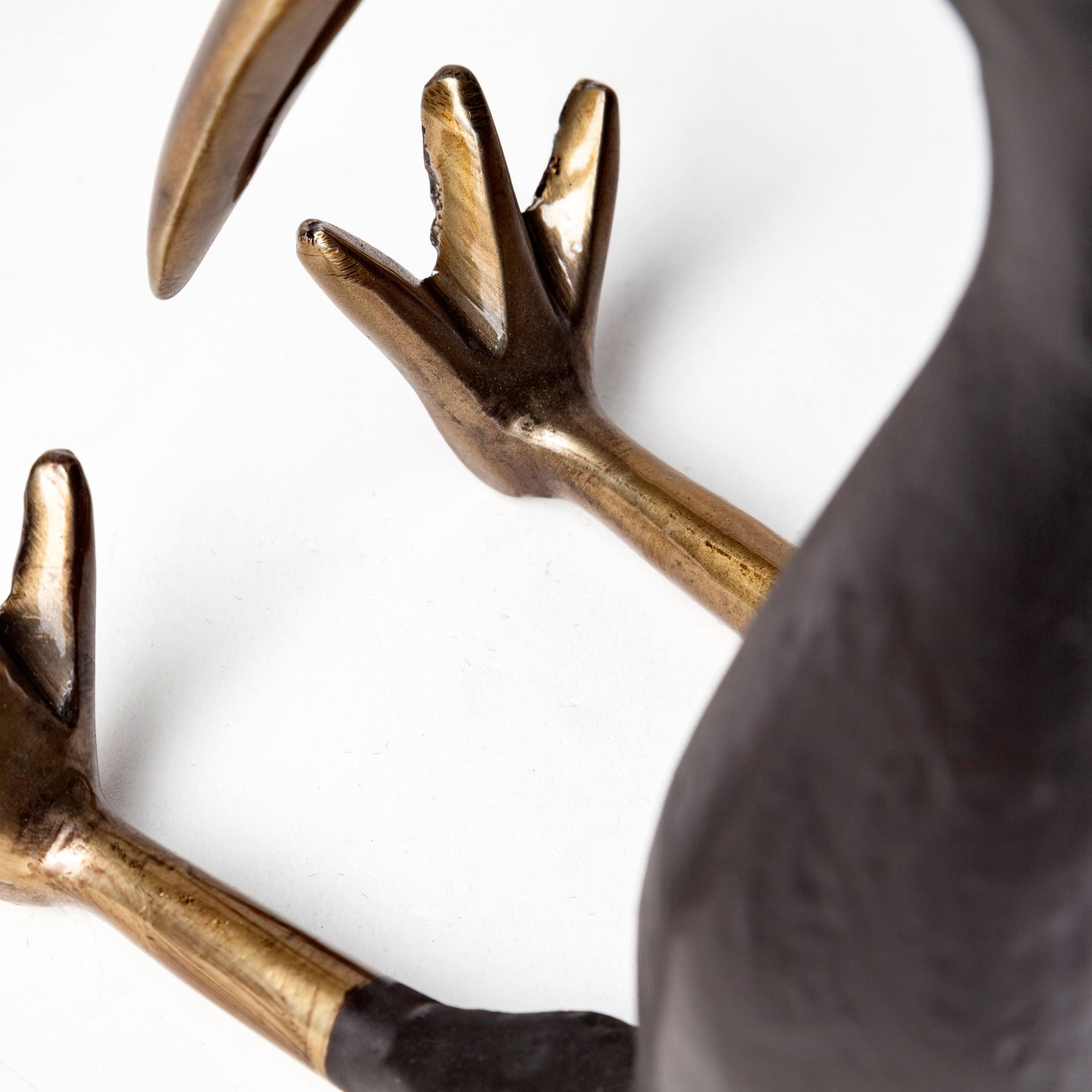 Dodo Kiwi Bird Object