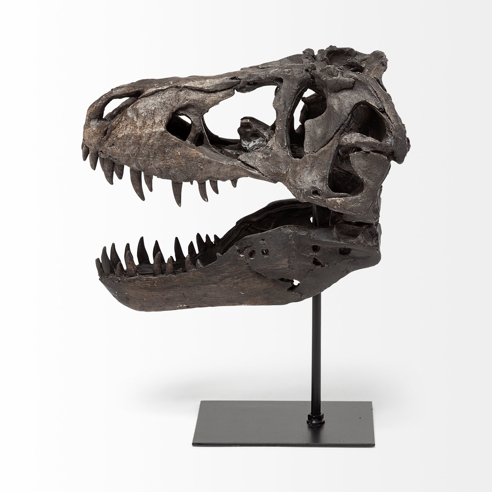 Jurassic T-Rex Object