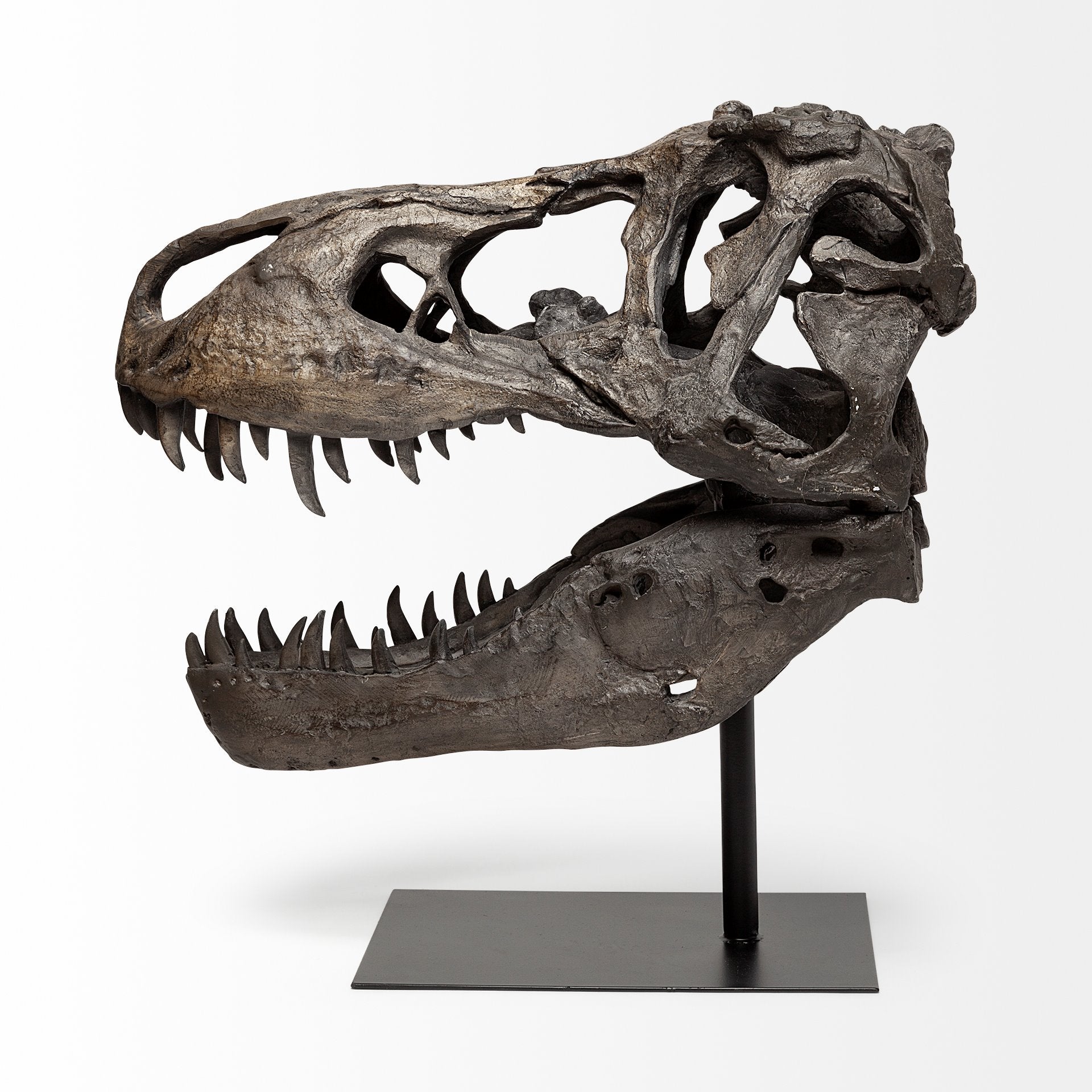Jurassic T-Rex Object
