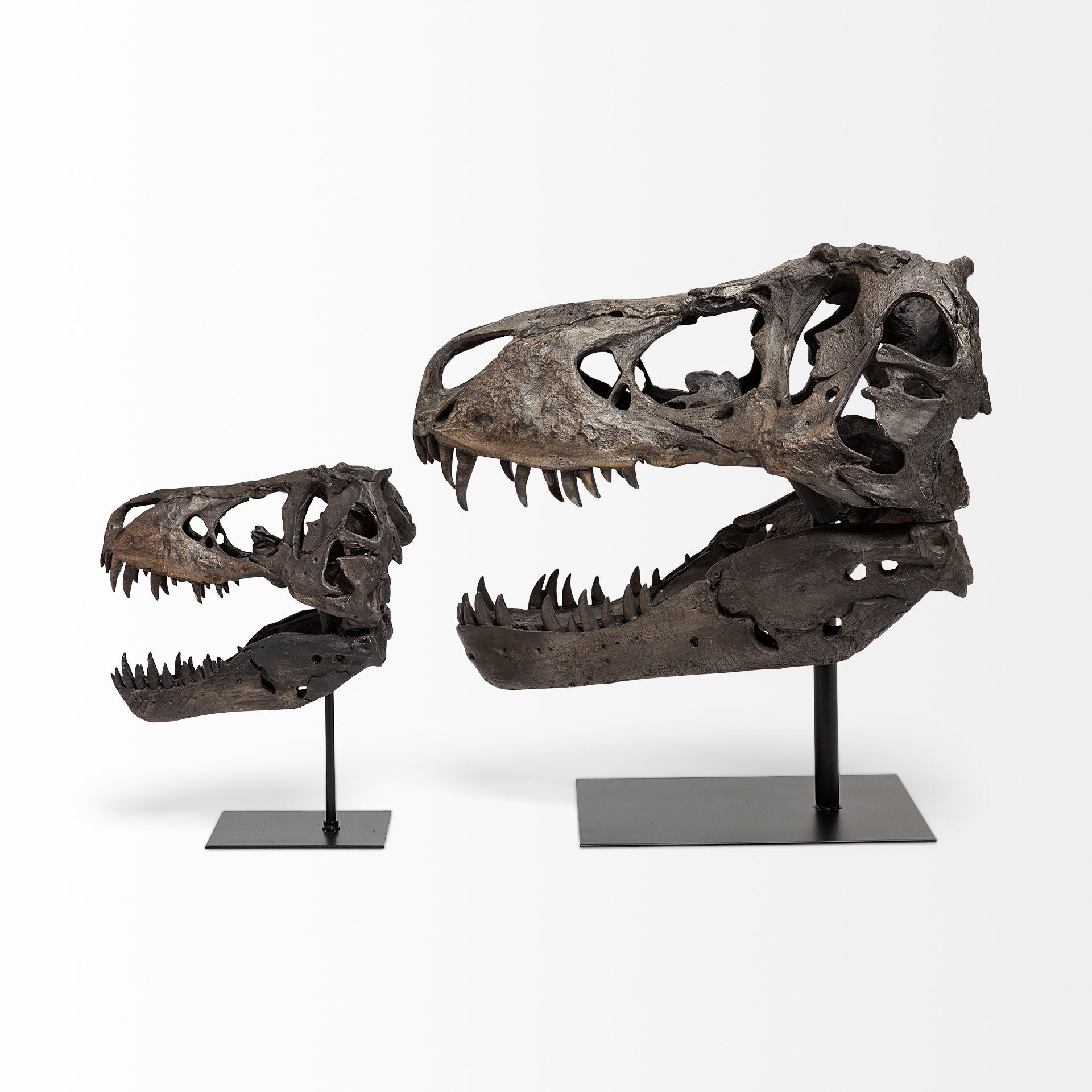 Jurassic T-Rex Object