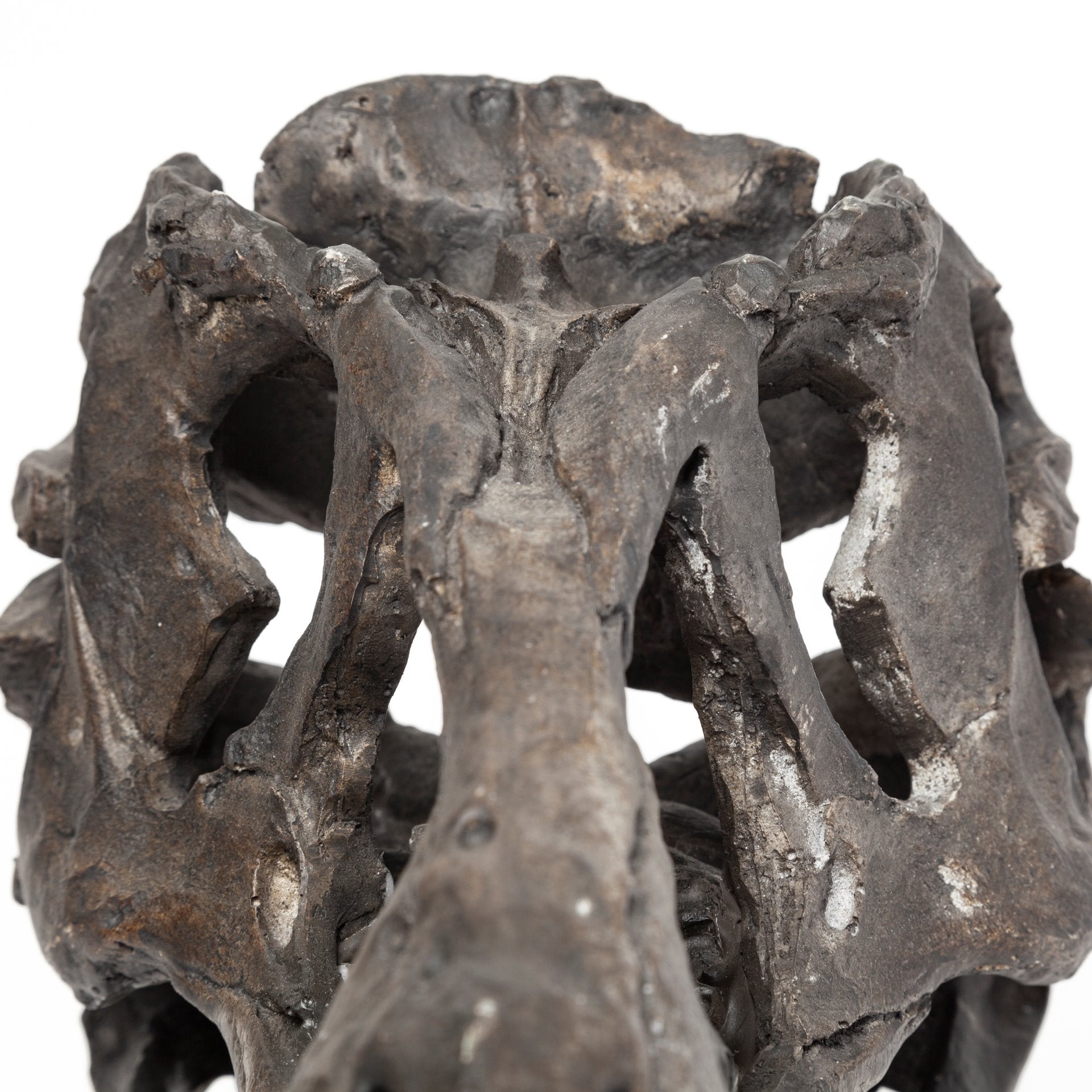 Jurassic T-Rex Object