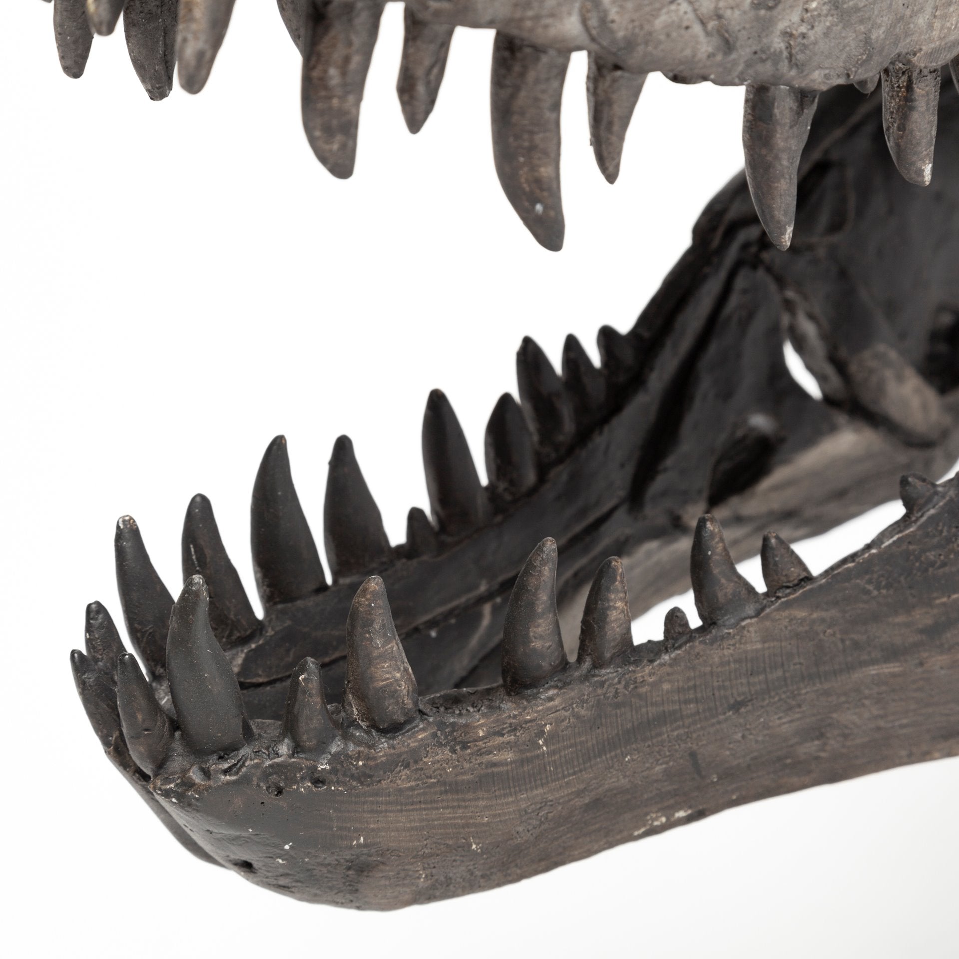 Jurassic T-Rex Object
