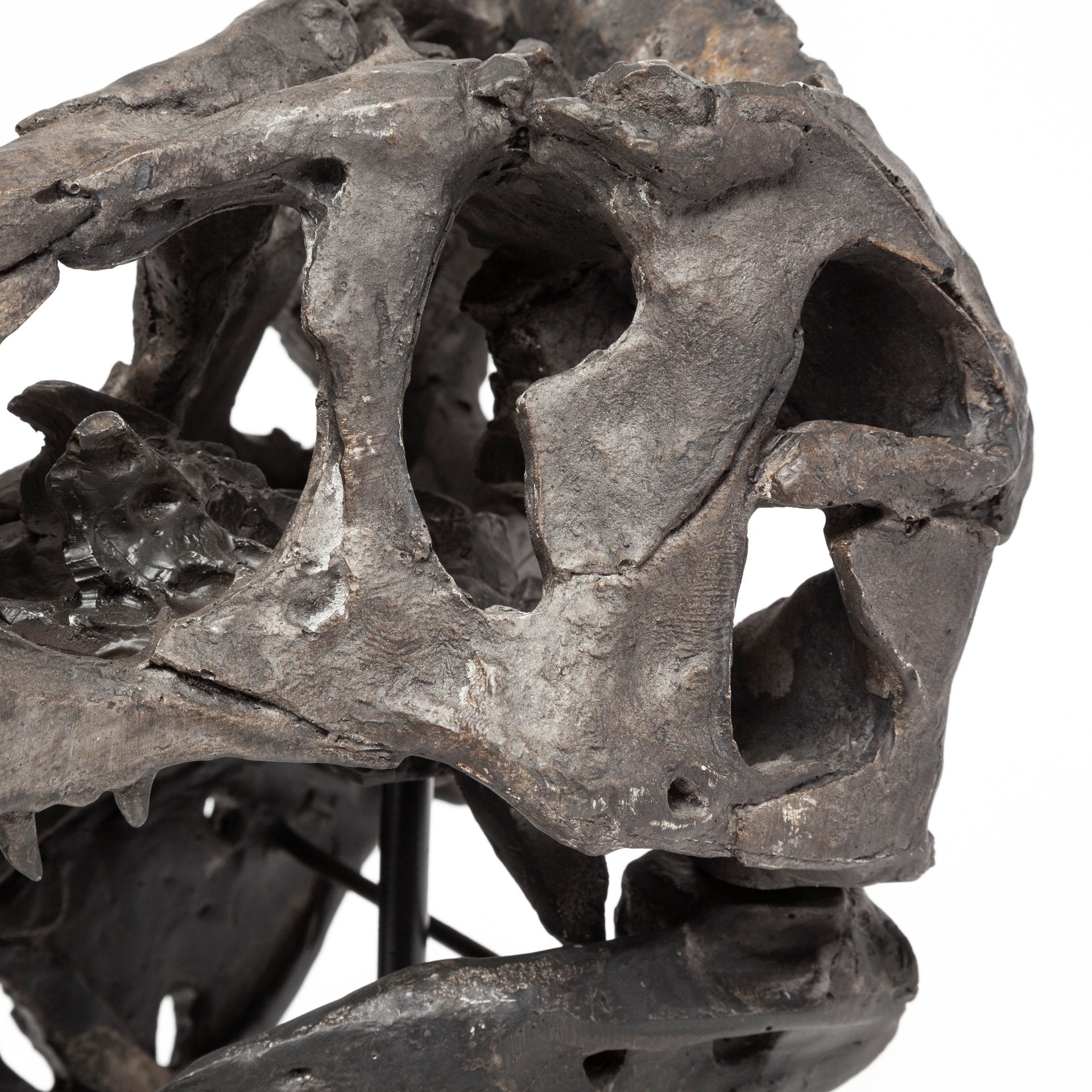 Jurassic T-Rex Object