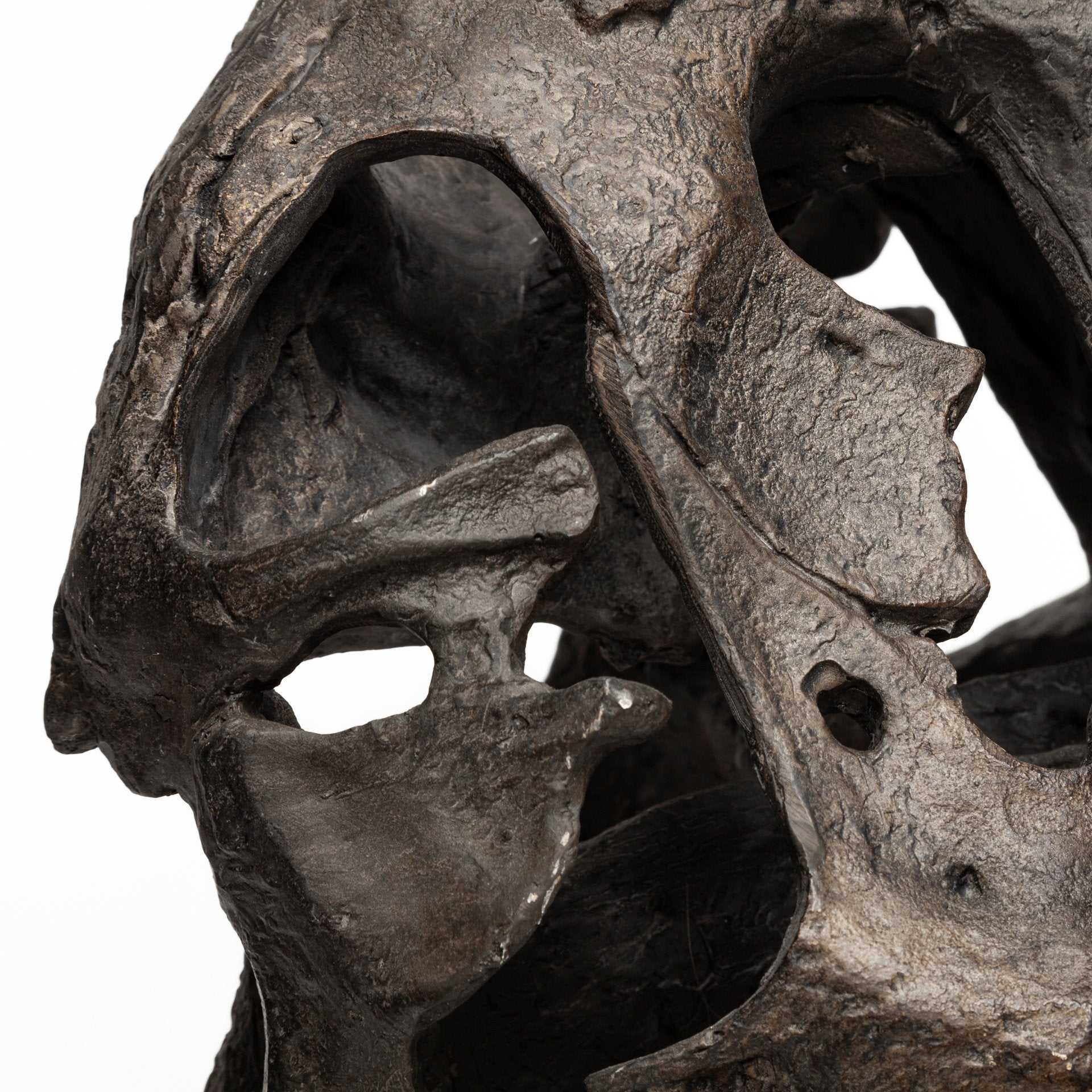 Jurassic T-Rex Object