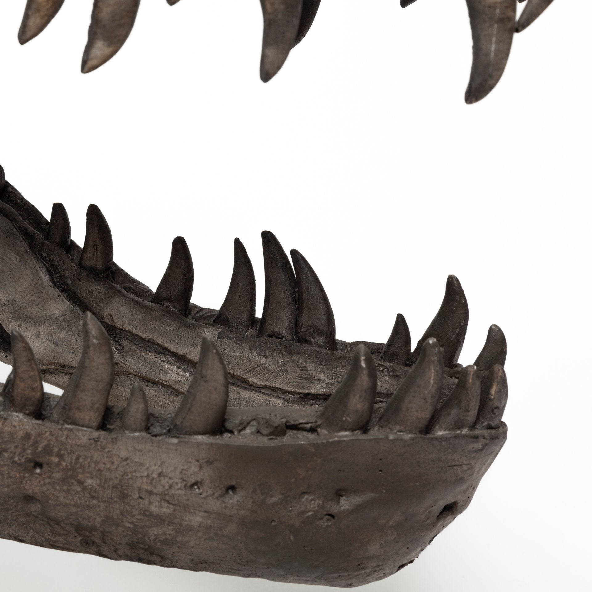 Jurassic T-Rex Object