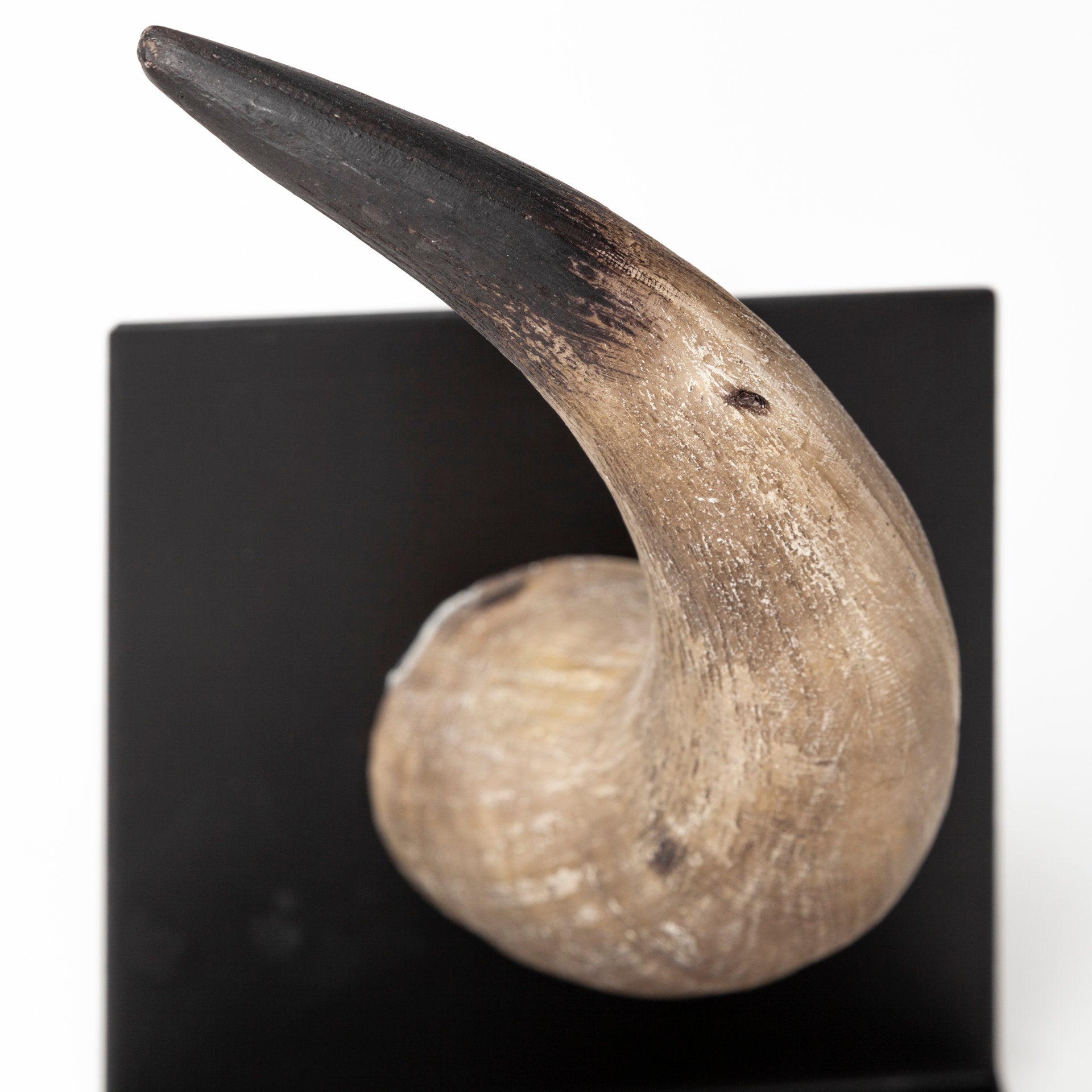 Nickerson Book End