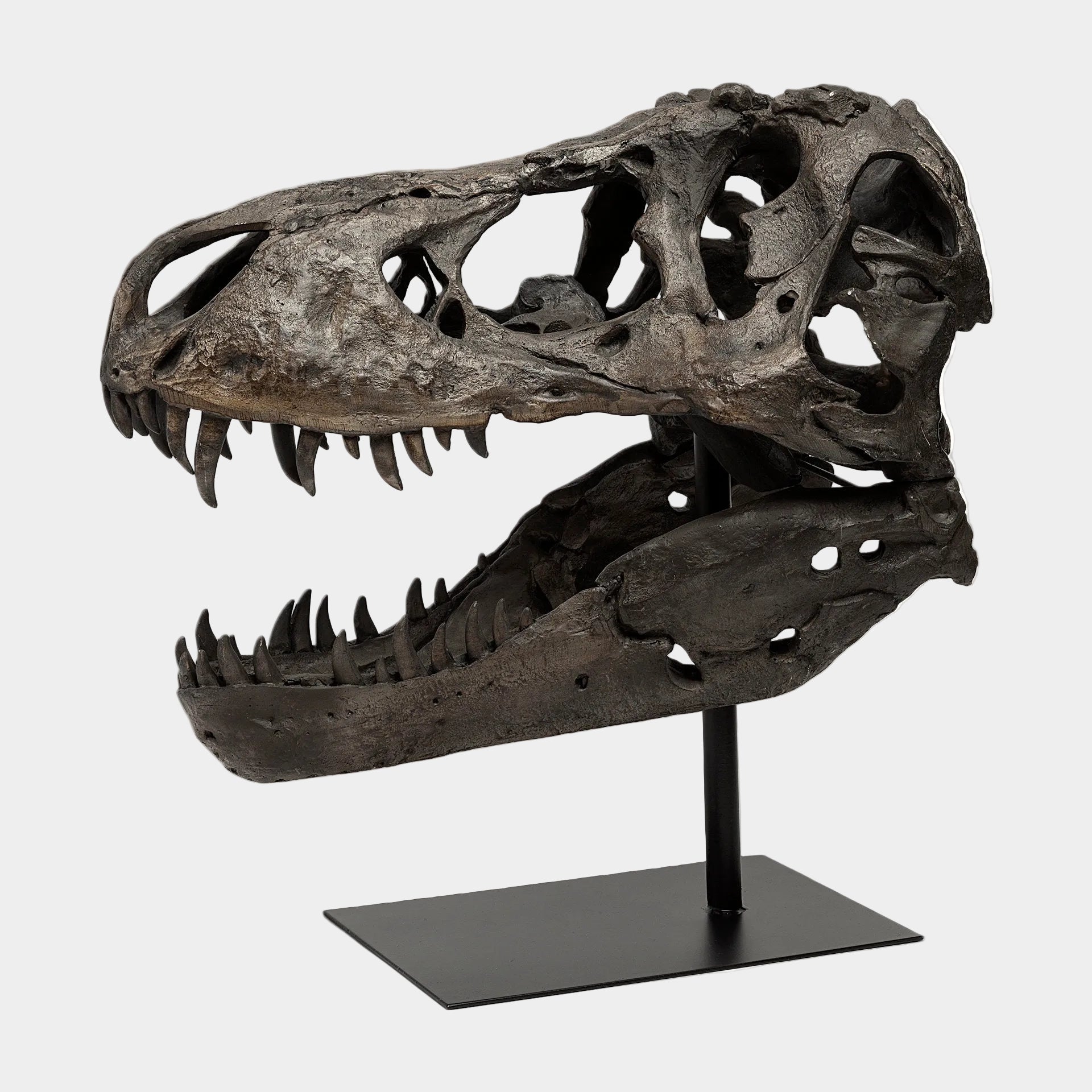 Jurassic T-Rex Object