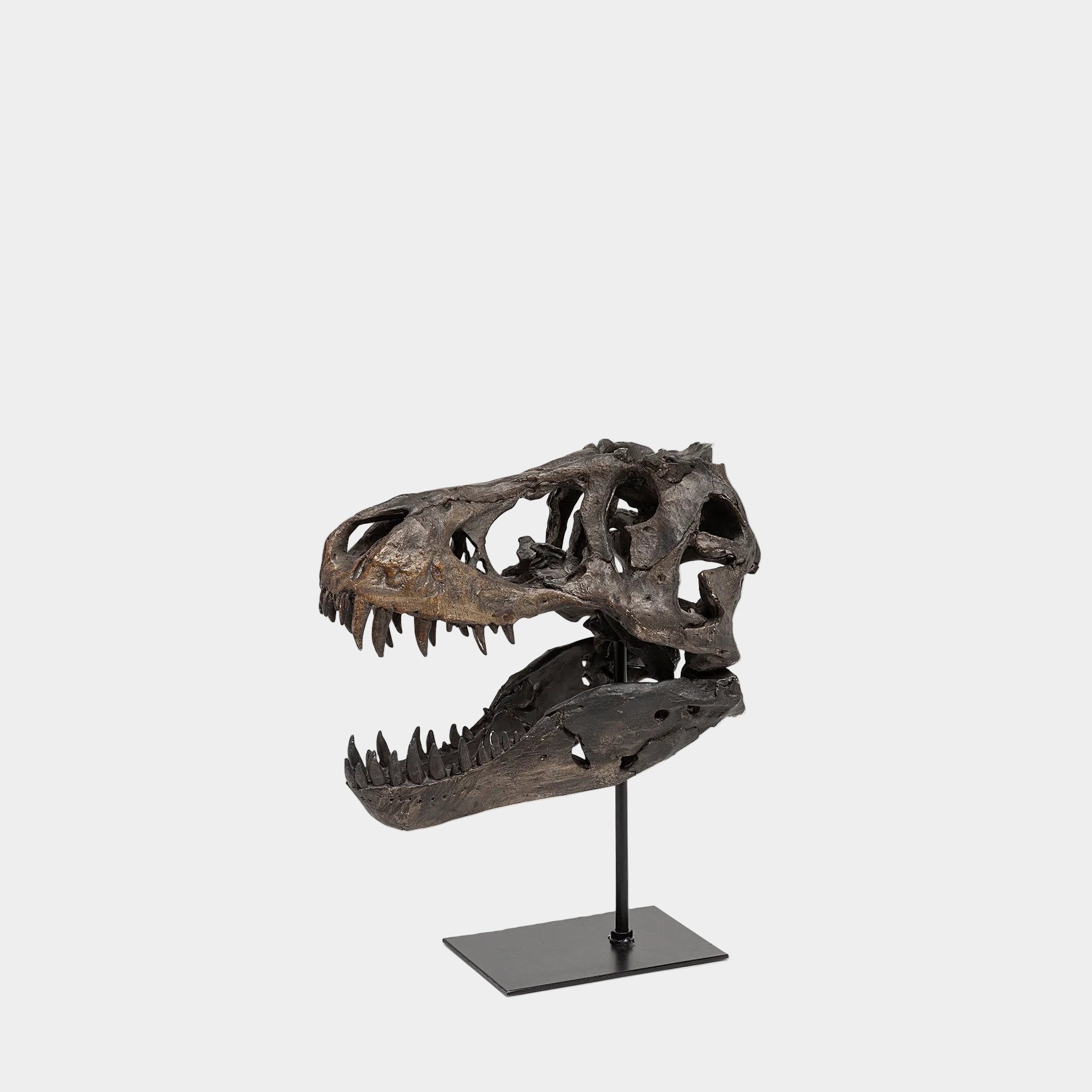Jurassic T-Rex Object
