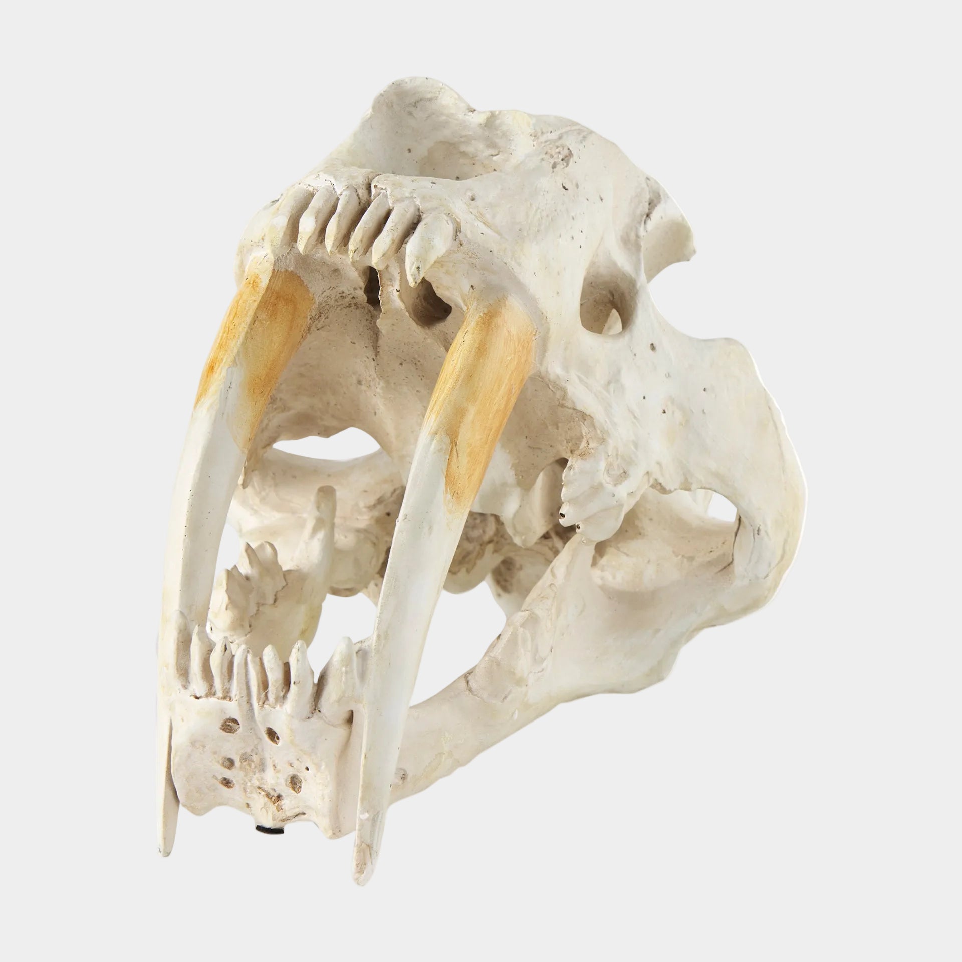 Fozzil Object
