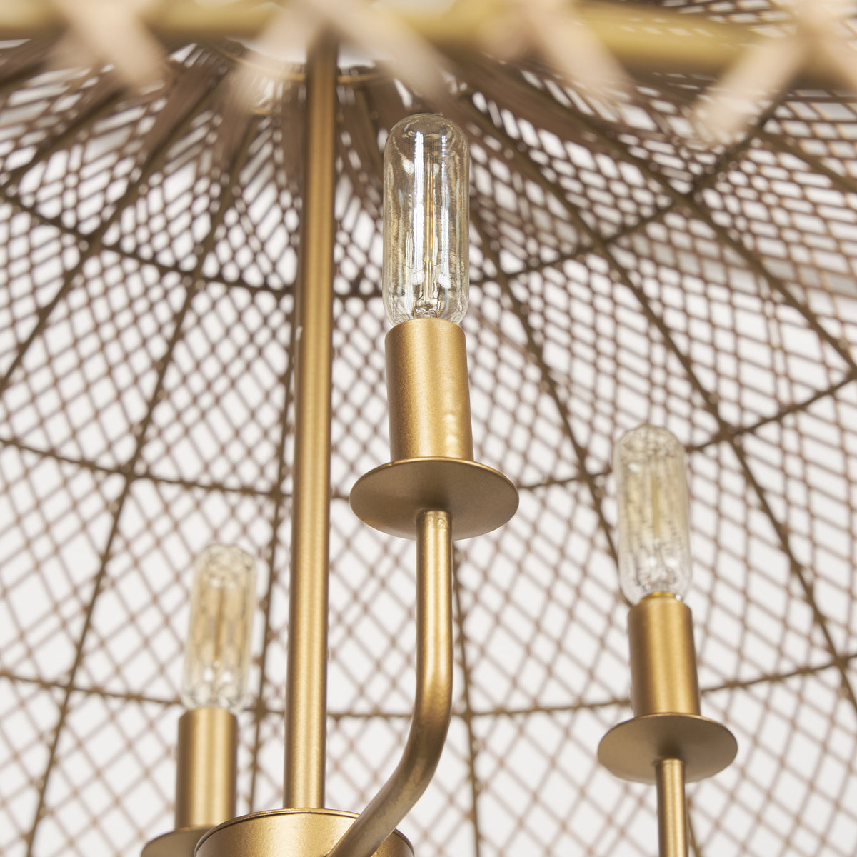 Thad Chandelier