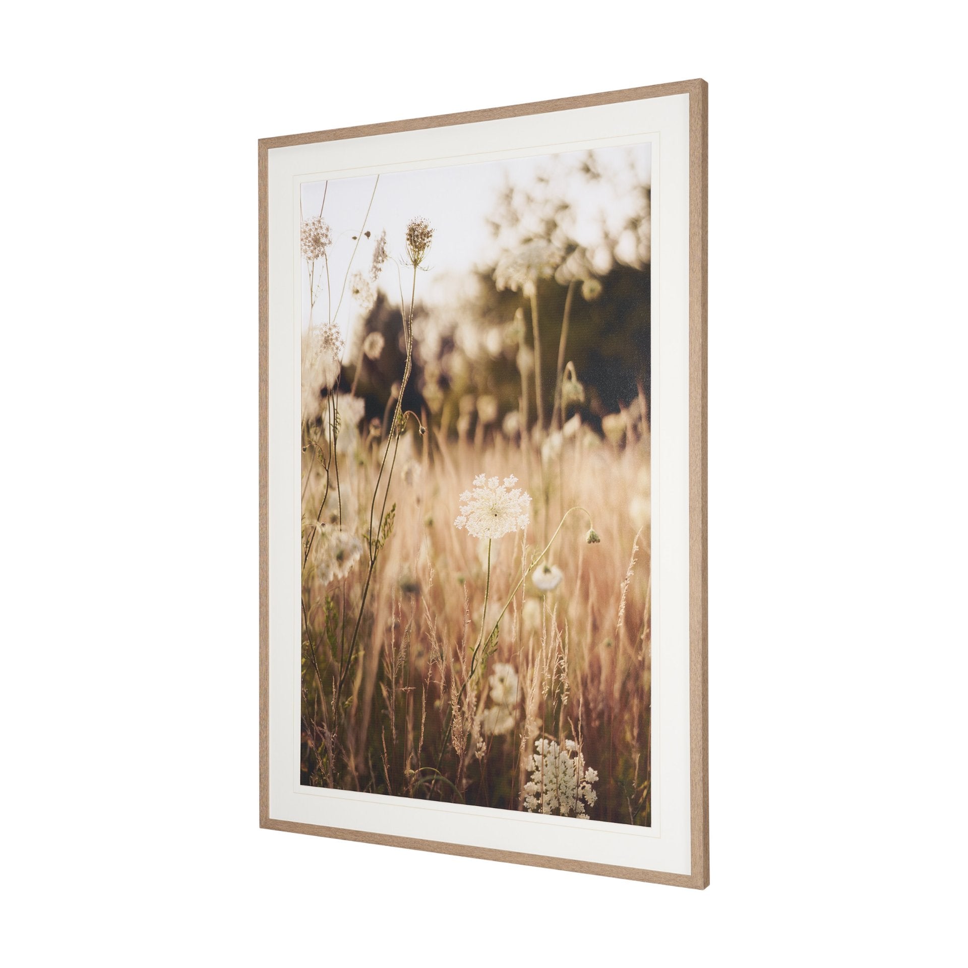 Wild Carrot Flowers Framed Series