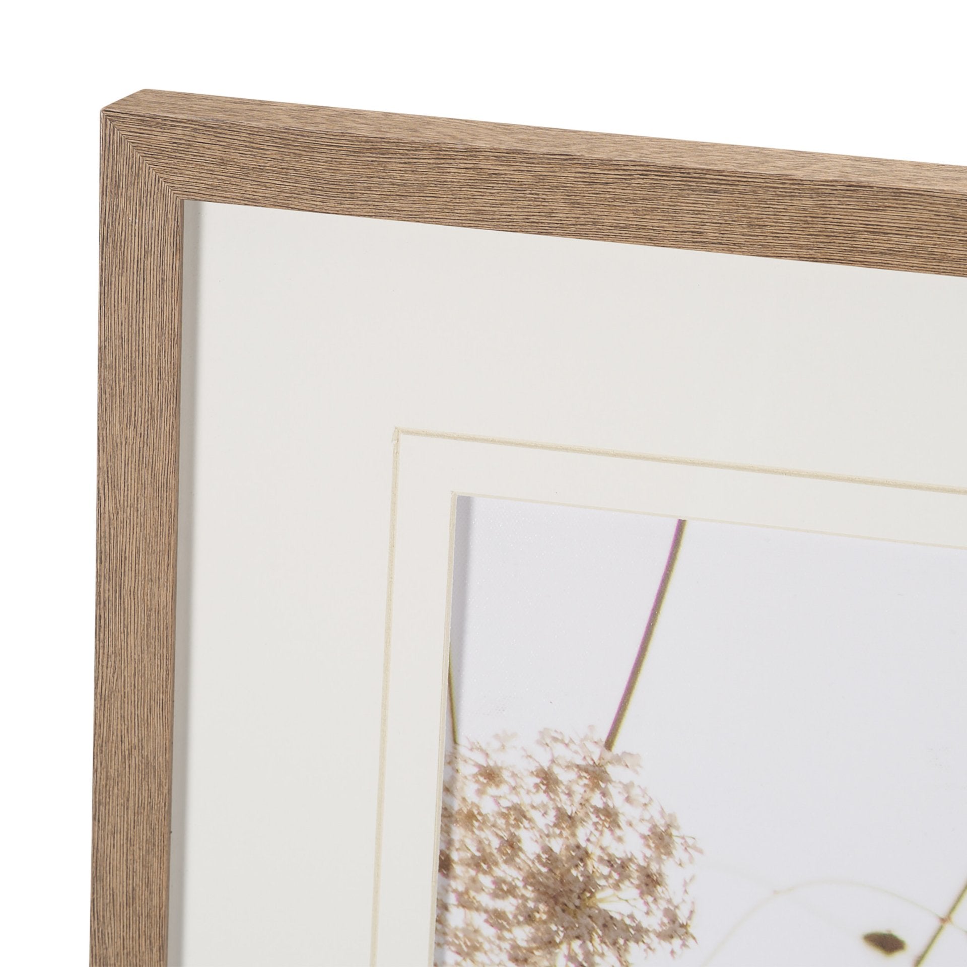Wild Carrot Flowers Framed Series