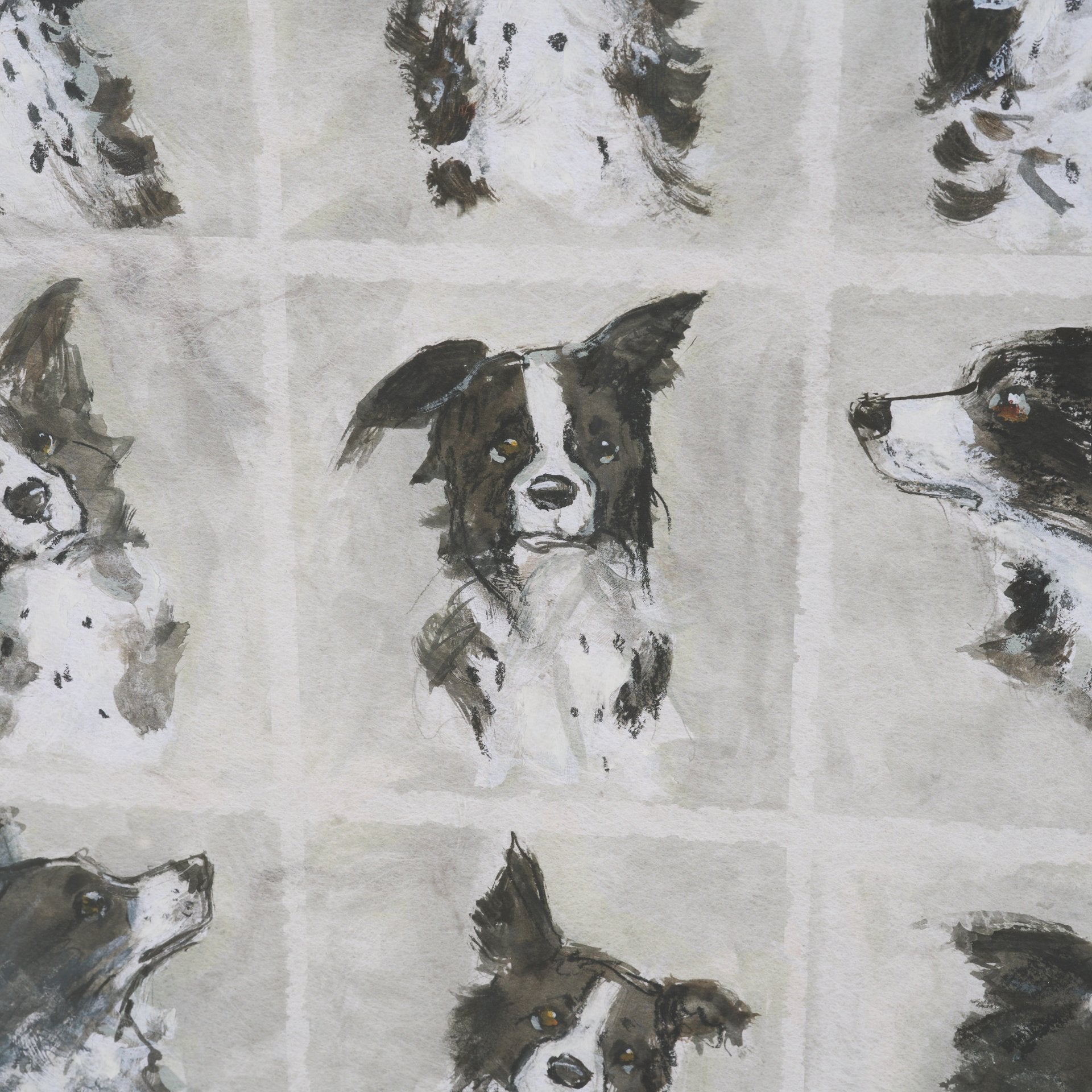 A Dogs Many Faces Framed Series