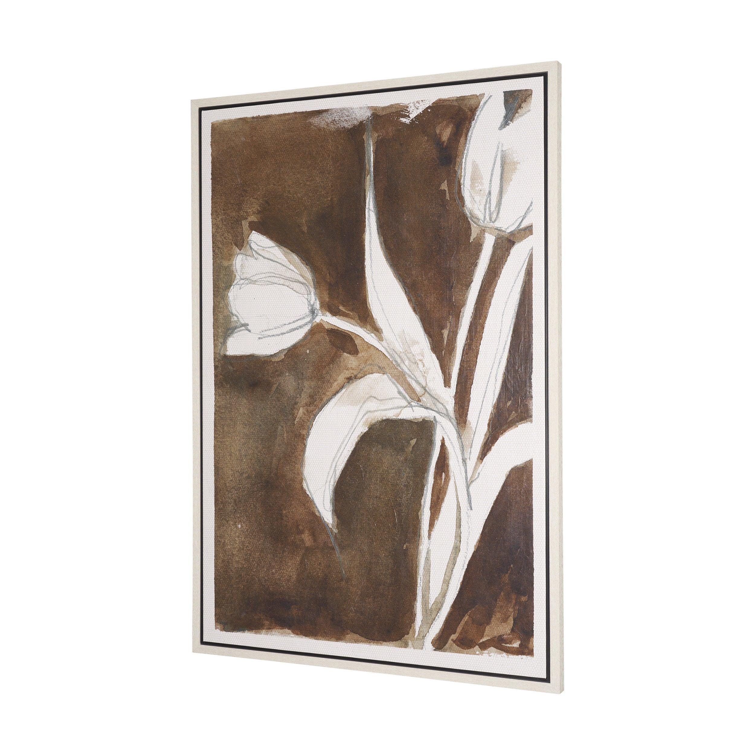 Tulip Bloom Canvas Series