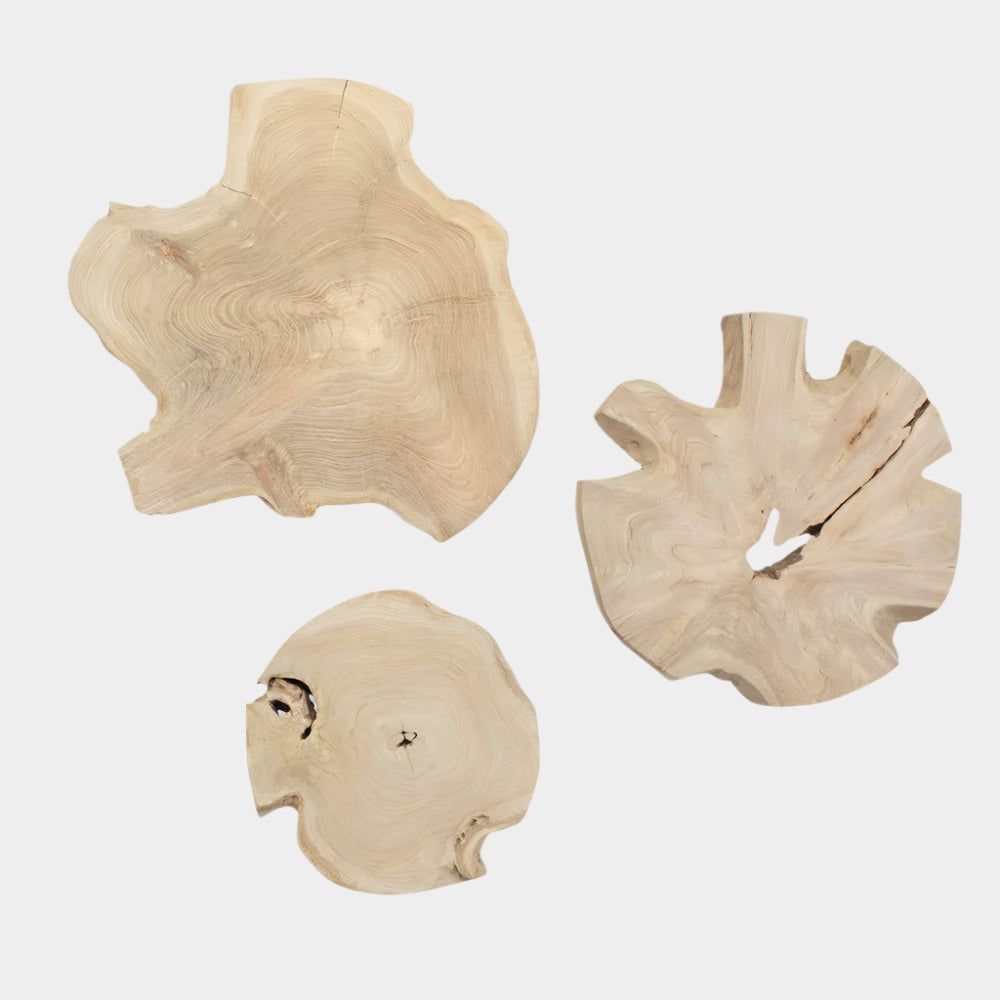 Kalani Outdoor Wood Wall Decor, S/3