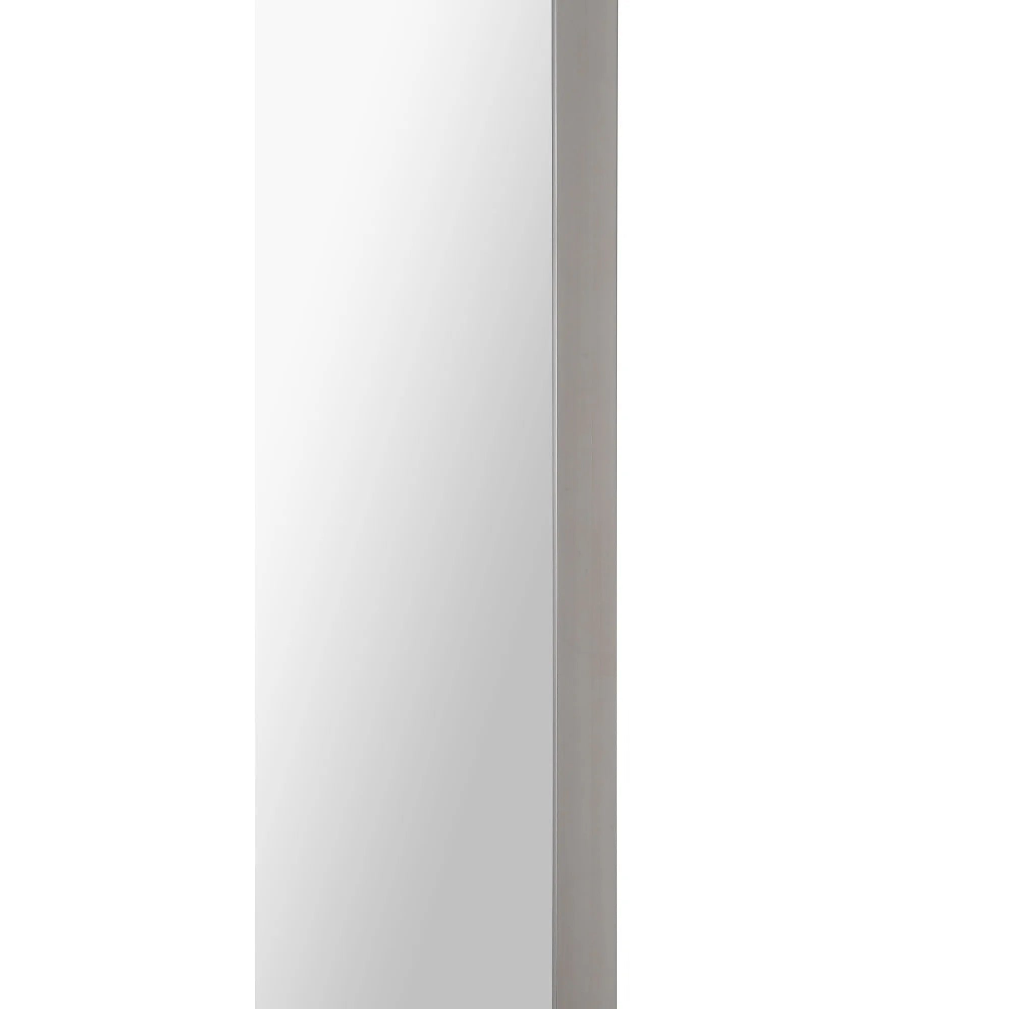 Delphinus Wall Mirror