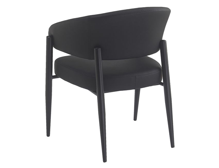 Bronson Dining Chair - Set of 2 in Black and Black