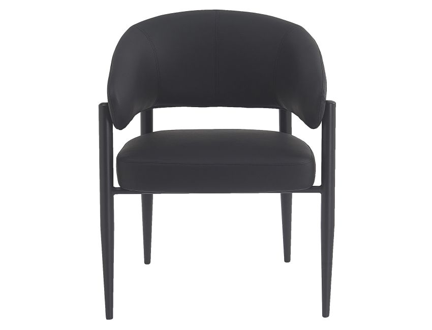Bronson Dining Chair - Set of 2 in Black and Black