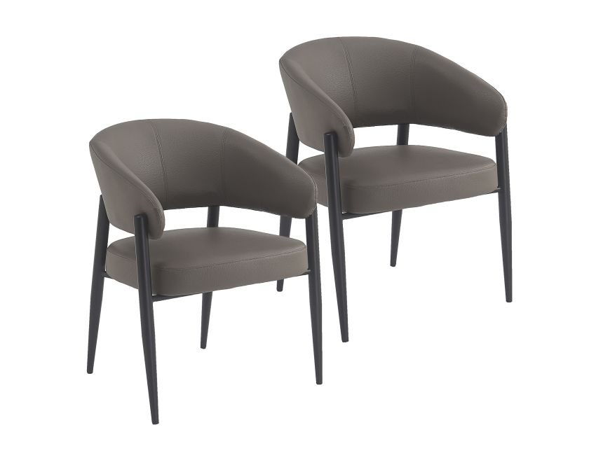 Bronson Dining Chair - Set of 2 in Stone and Black