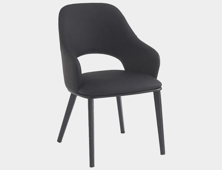 Denzel Dining Chair - Set of 4 in Black and Black