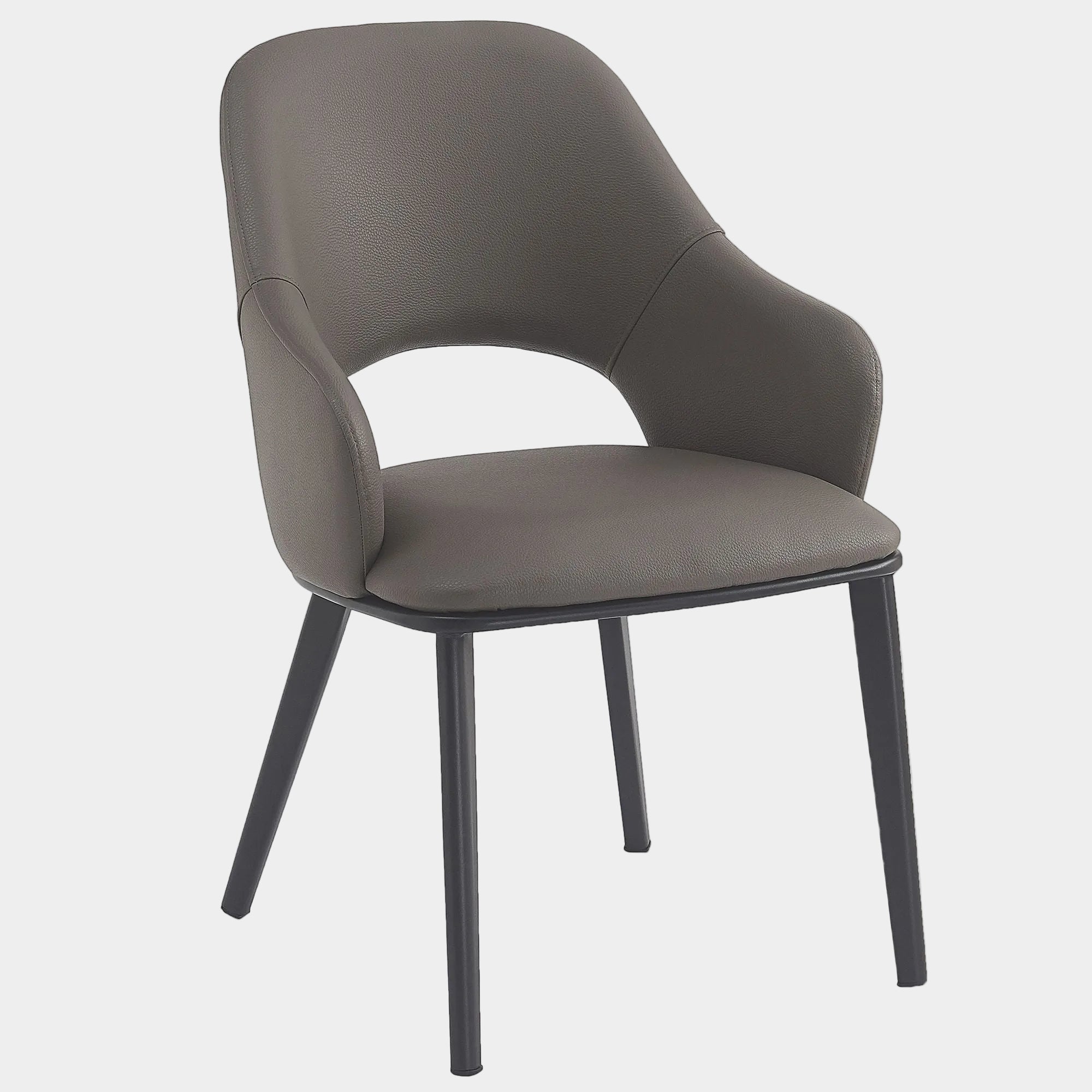 Denzel Dining Chair - Set of 4 in Stone and Black
