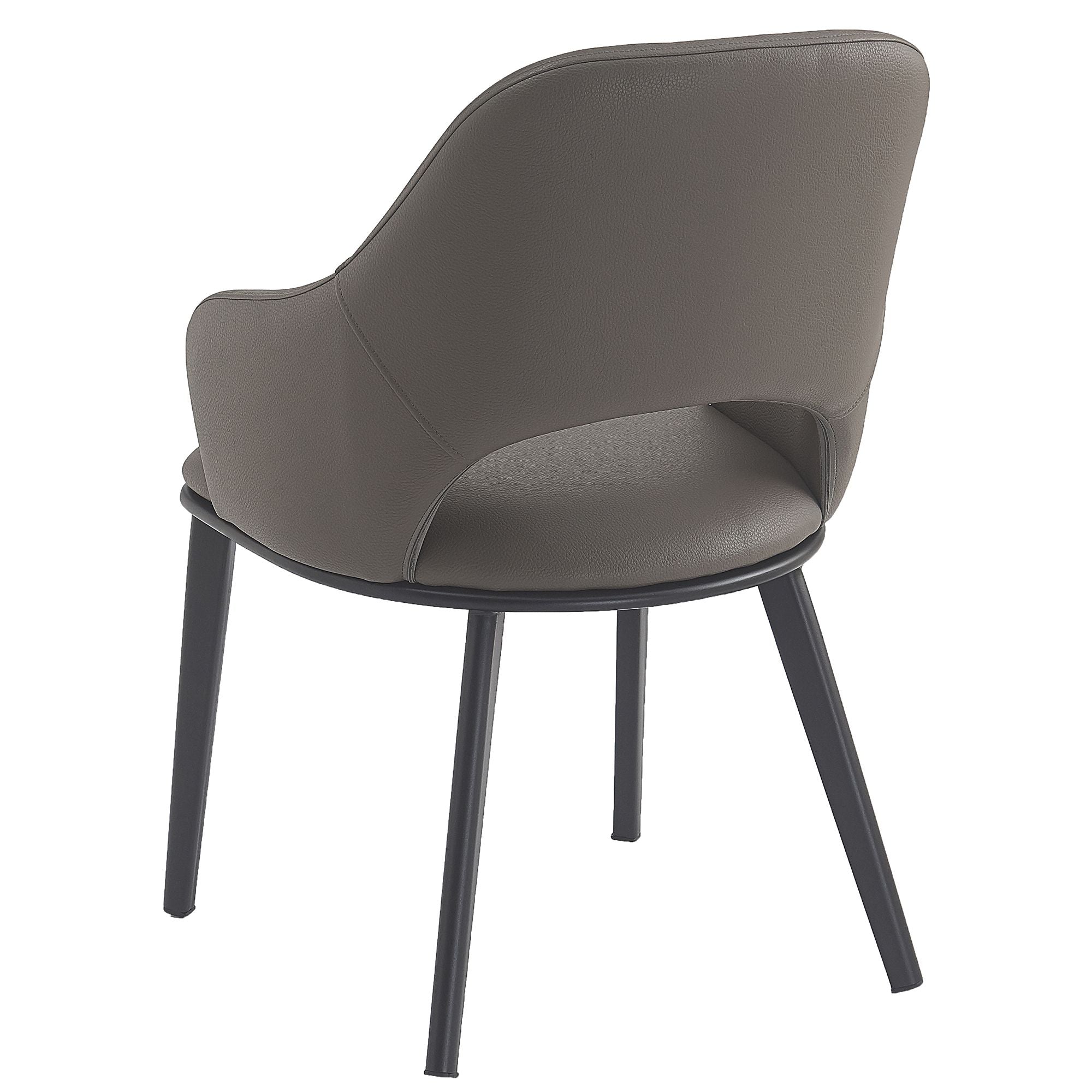 Denzel Dining Chair - Set of 4 in Stone and Black