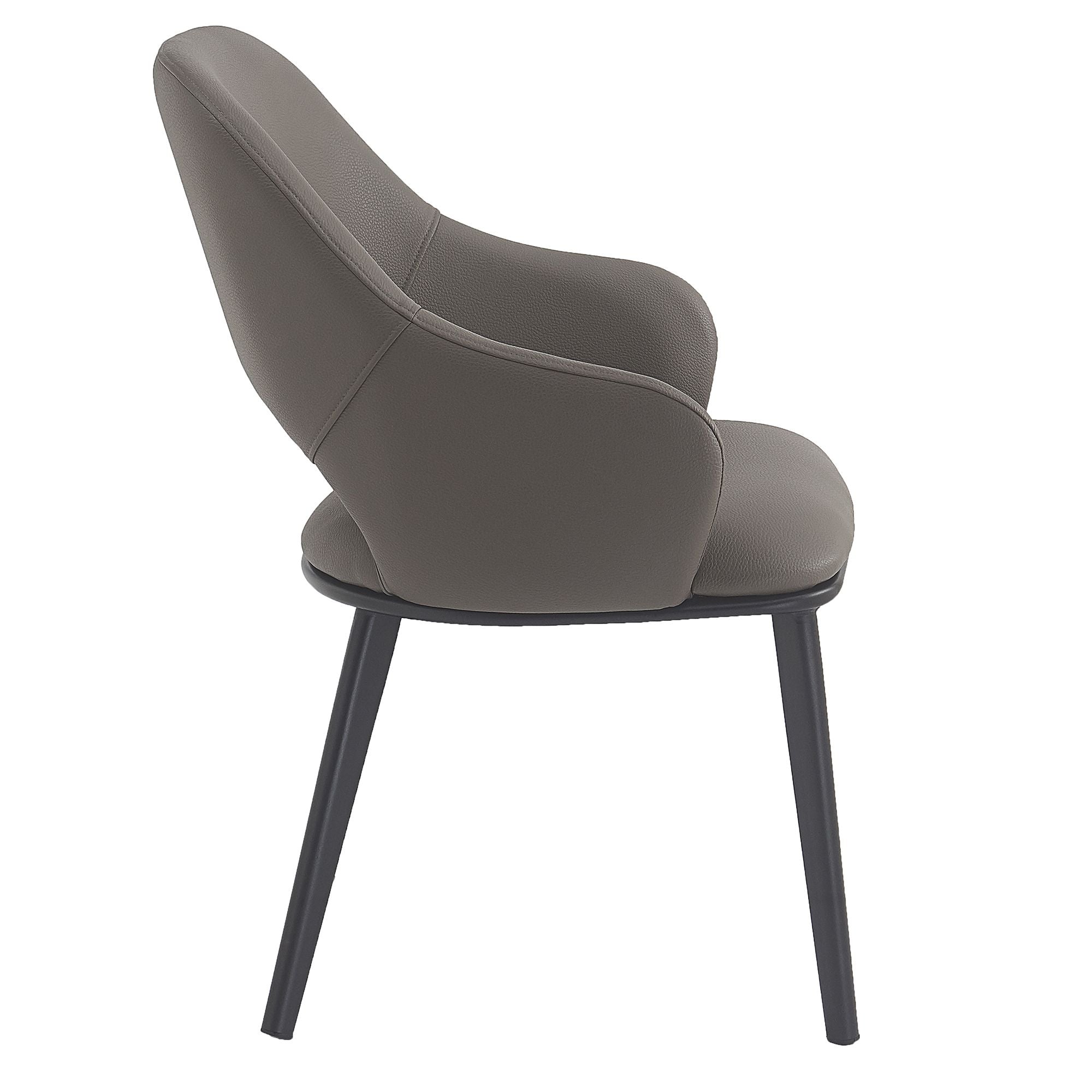 Denzel Dining Chair - Set of 4 in Stone and Black