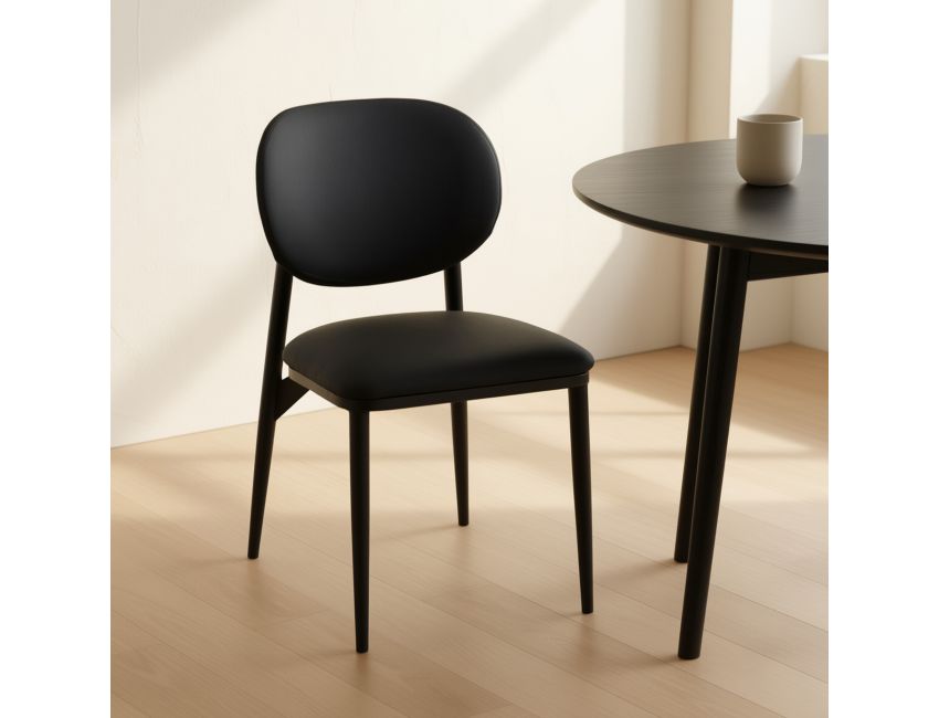 Gideon Dining/Lounge Chair, Set of 4 in Black and Black