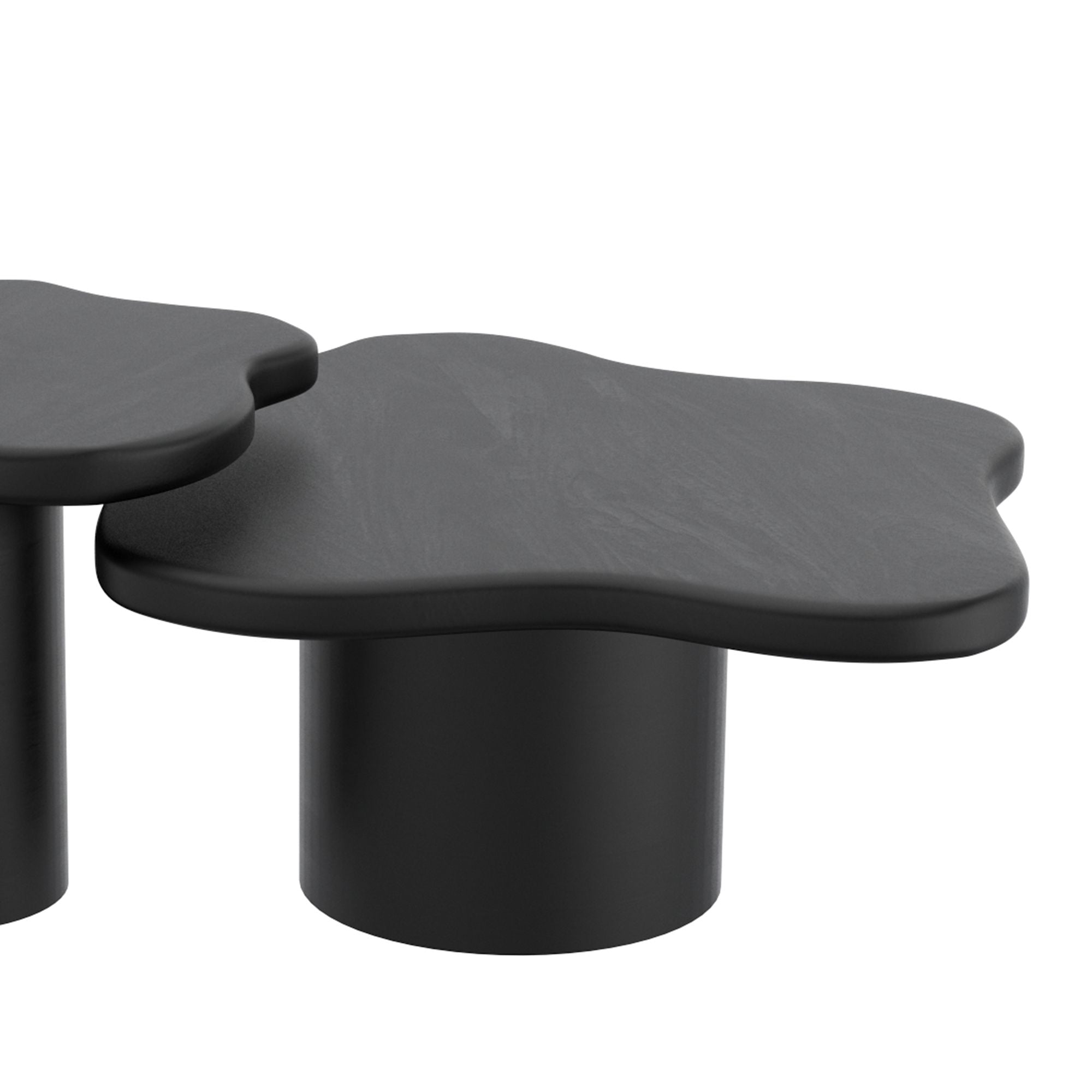 Mayal Large Coffee Table in Black