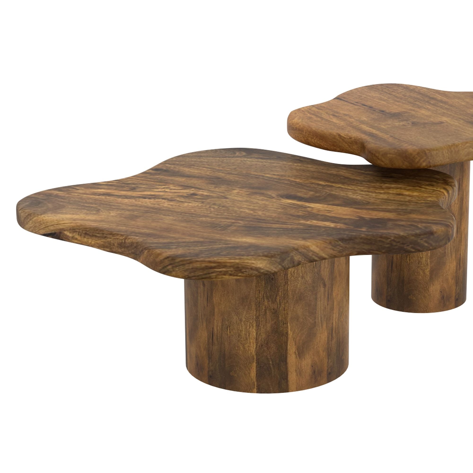 Mayal Large Coffee Table in Walnut