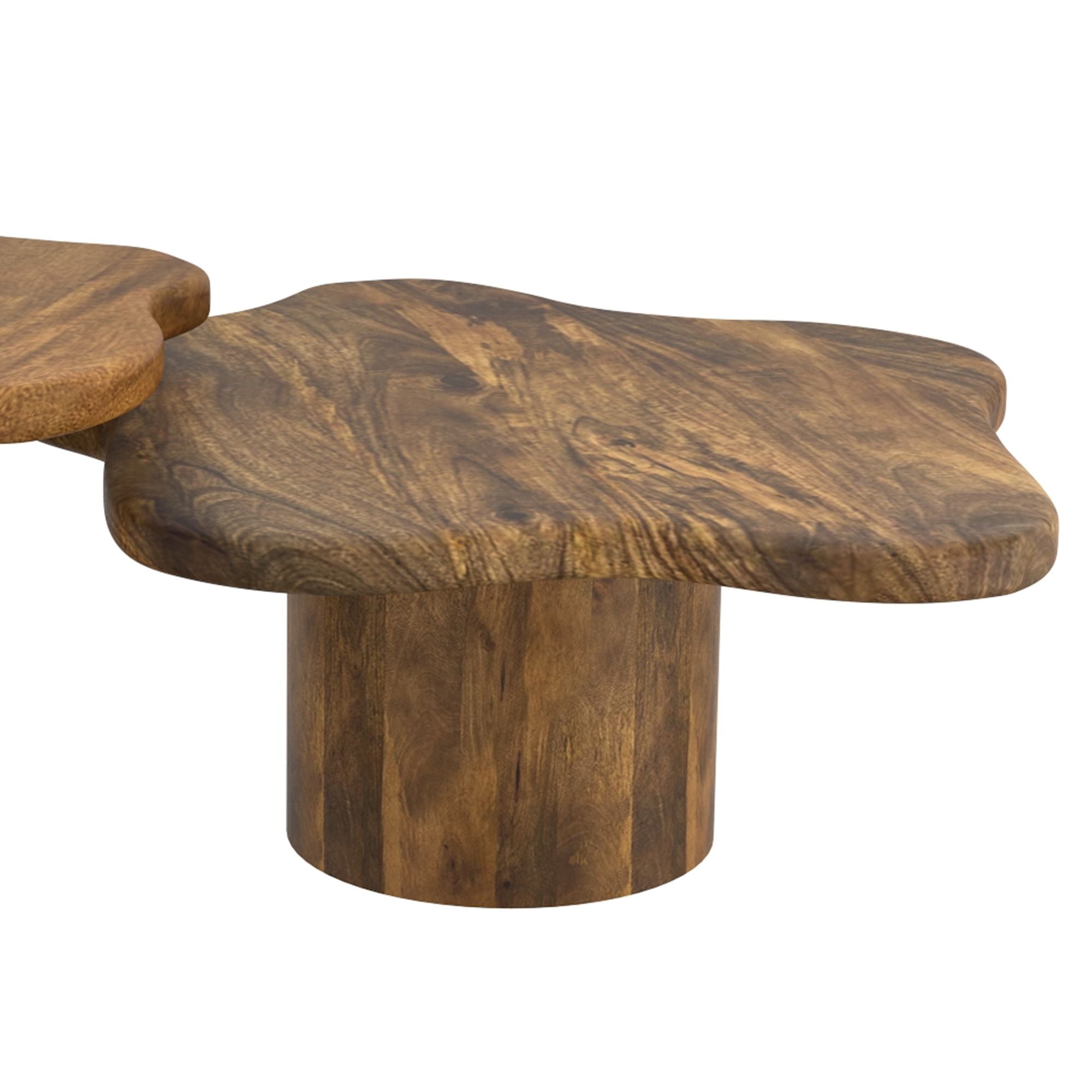 Mayal Large Coffee Table in Walnut