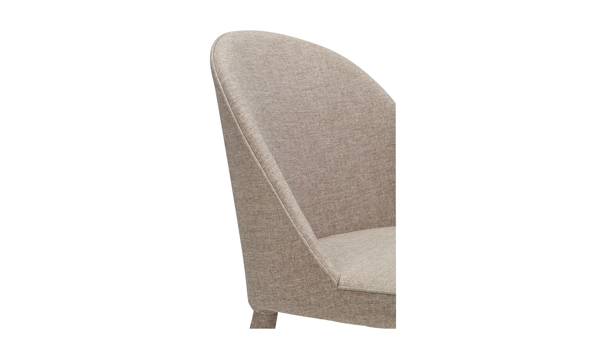Burton Dining Chair Set of 2