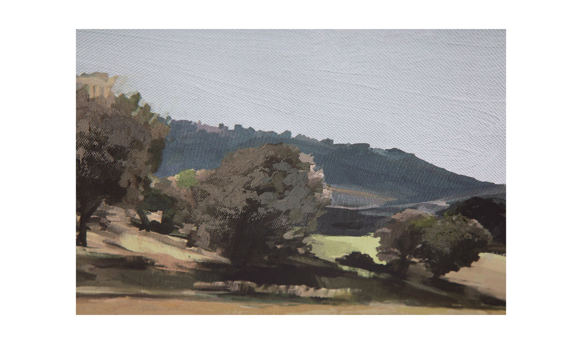 Vast Country Framed Painting