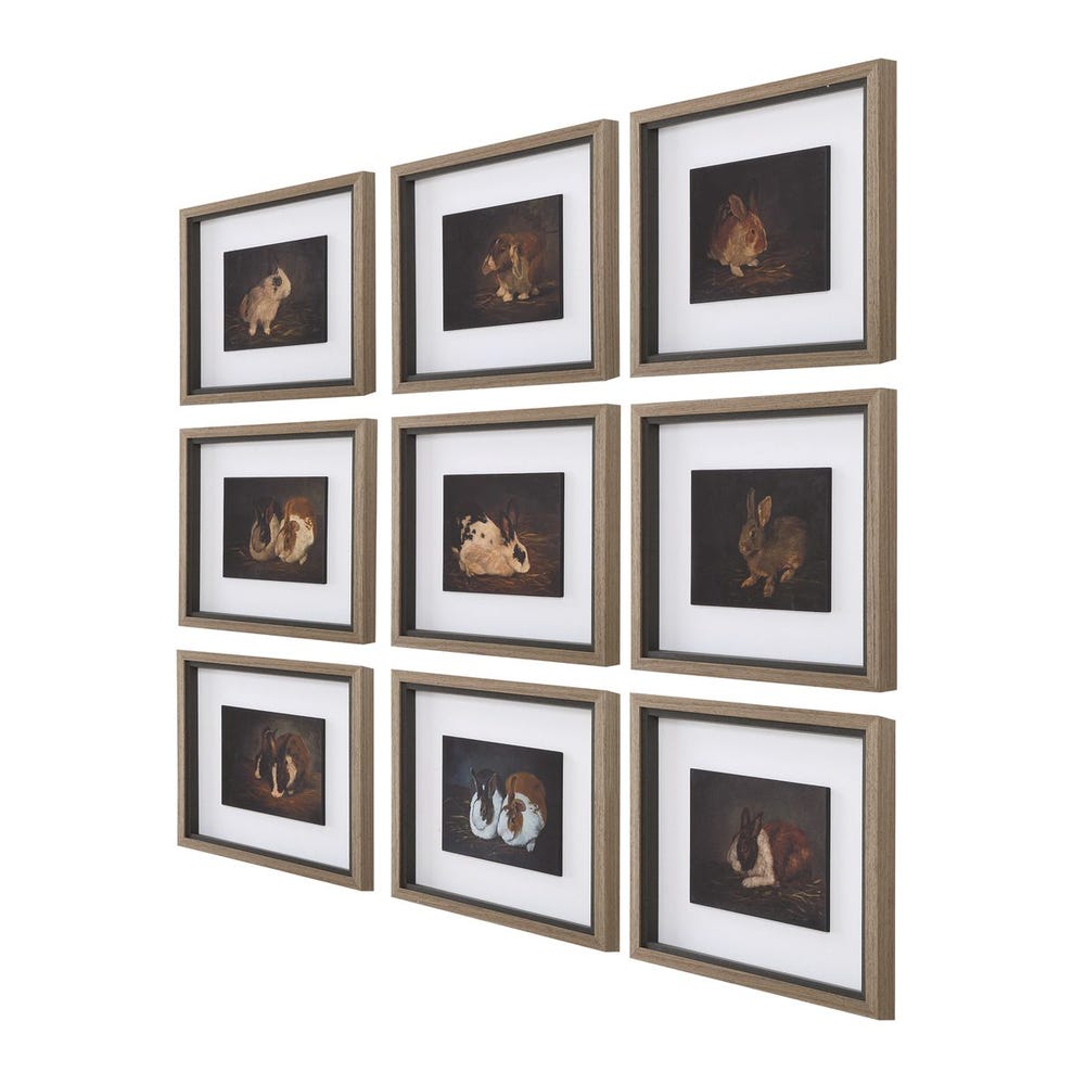 Resting Bunny Framed Prints, S/9
