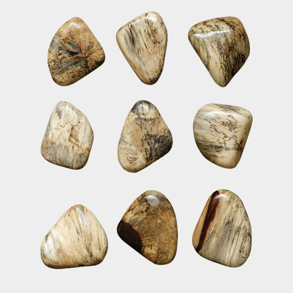 Pebbles Wood Wall Decor, S/9