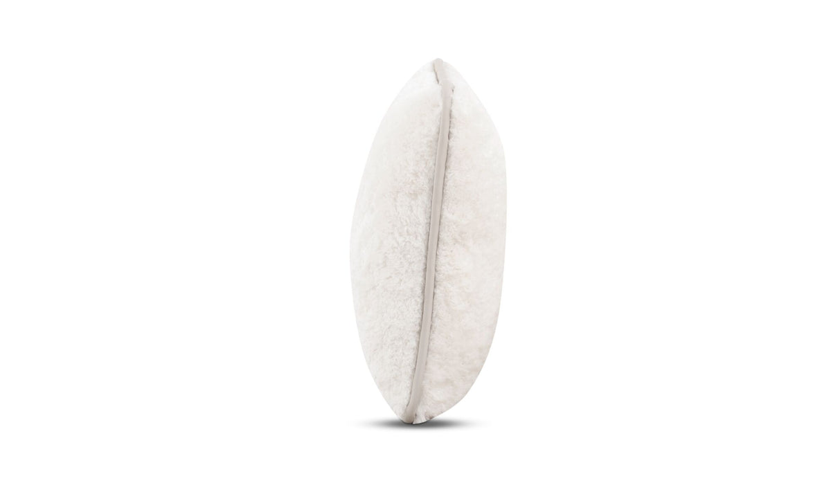 Carr 25 in Cushion