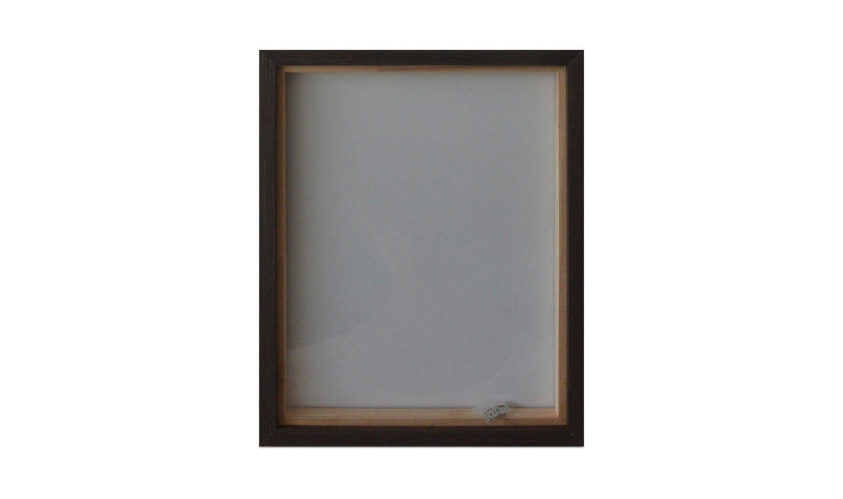 Intrepid Framed Painting