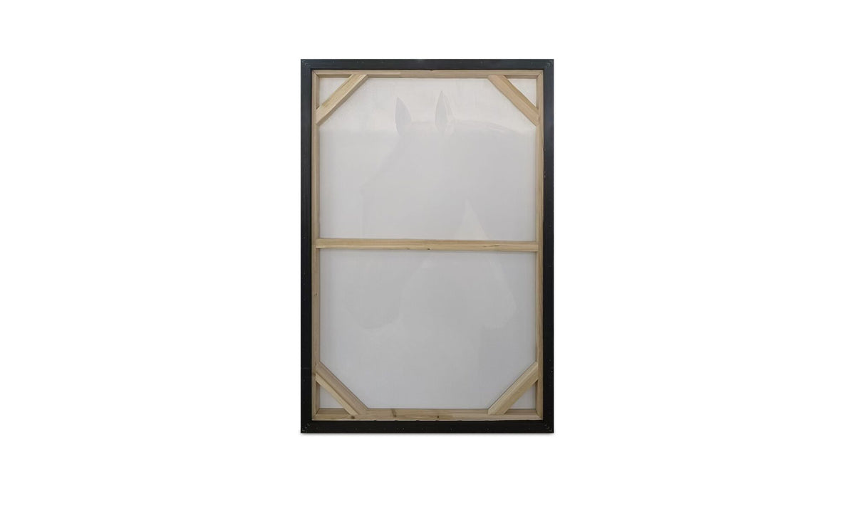 Valiant Framed Painting