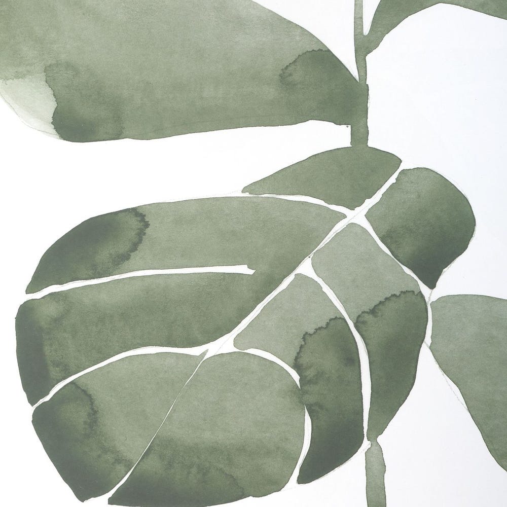 Fiddle Head Leaf Framed Prints, S/4