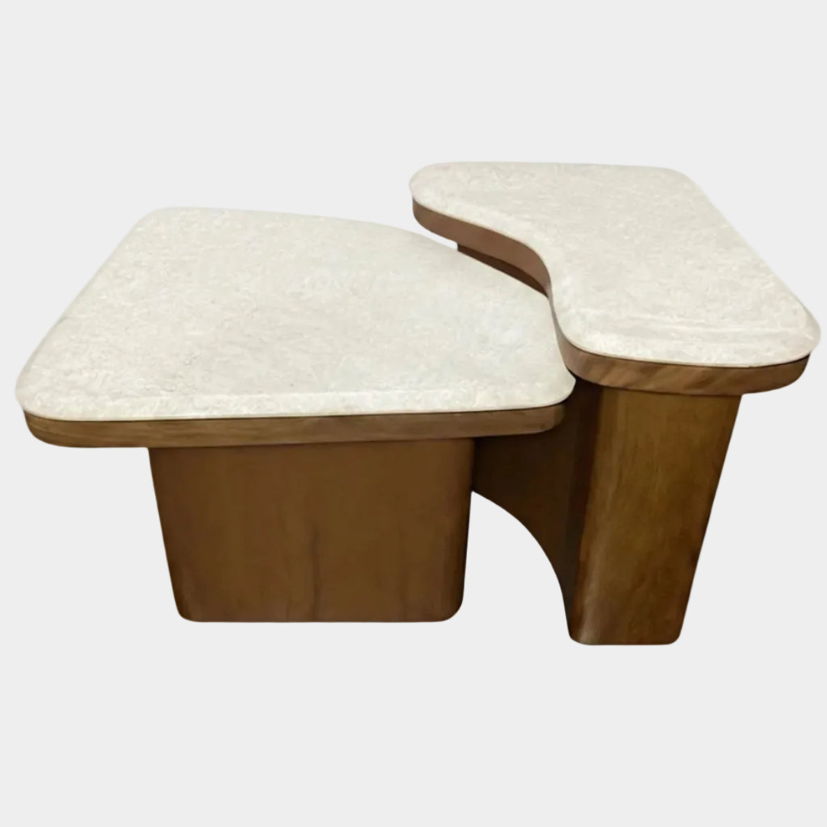 Abi Nesting Coffee Table Set of 2