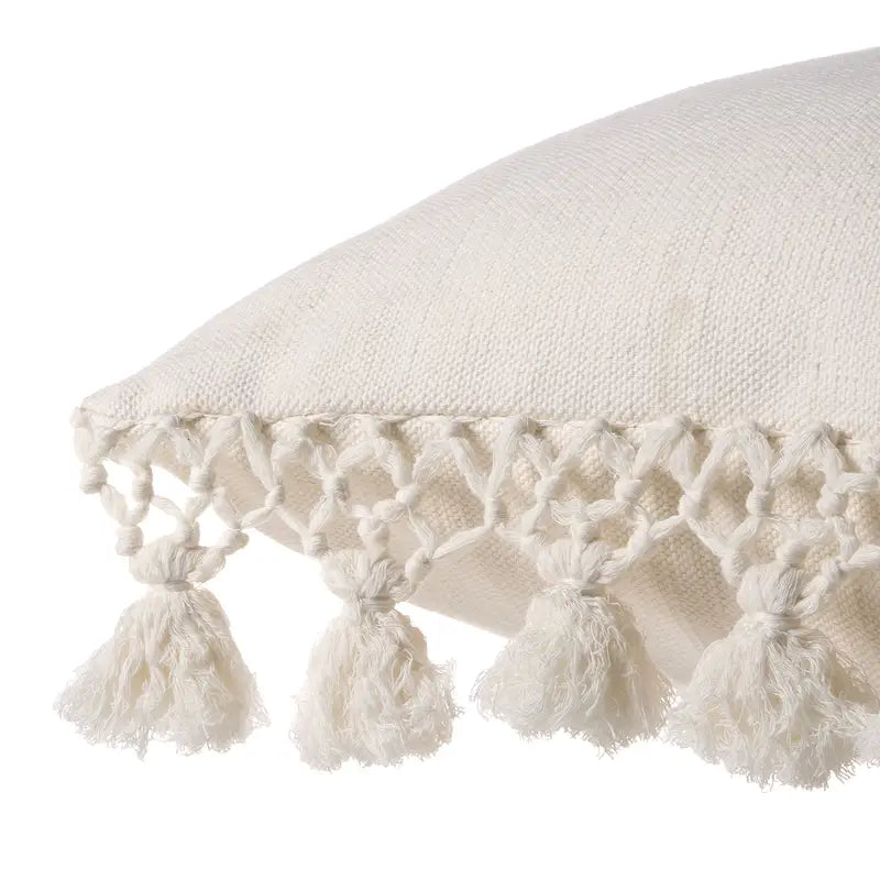 Cleo CLE01 22 Inch Pillow