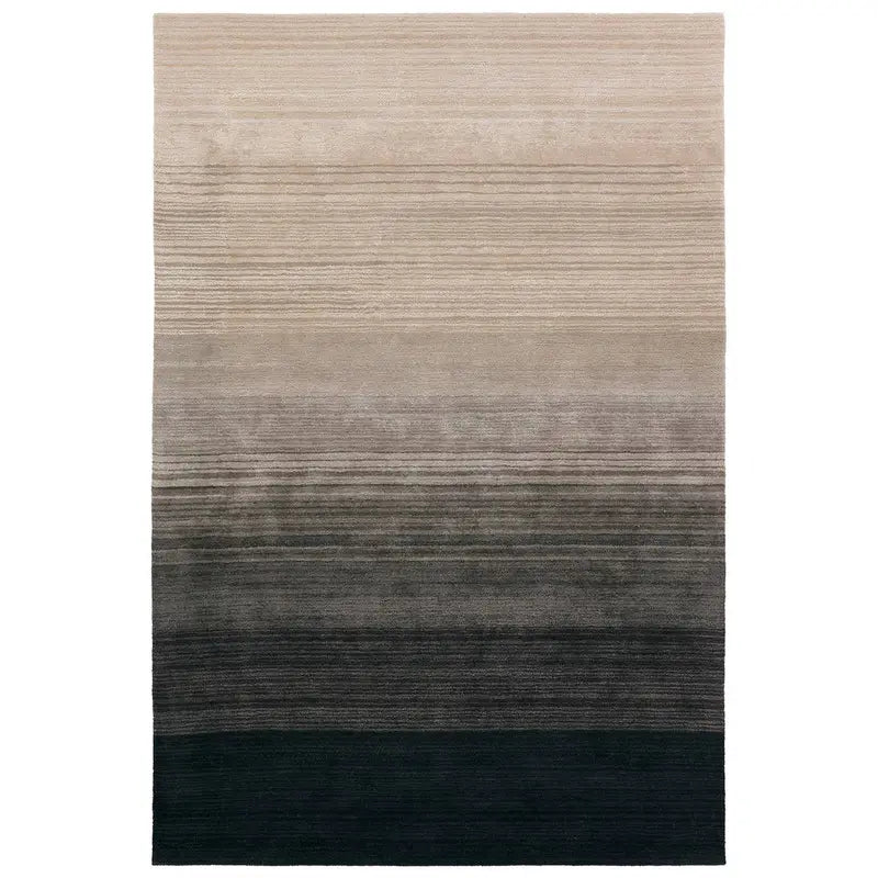 Cambrian CMN01
